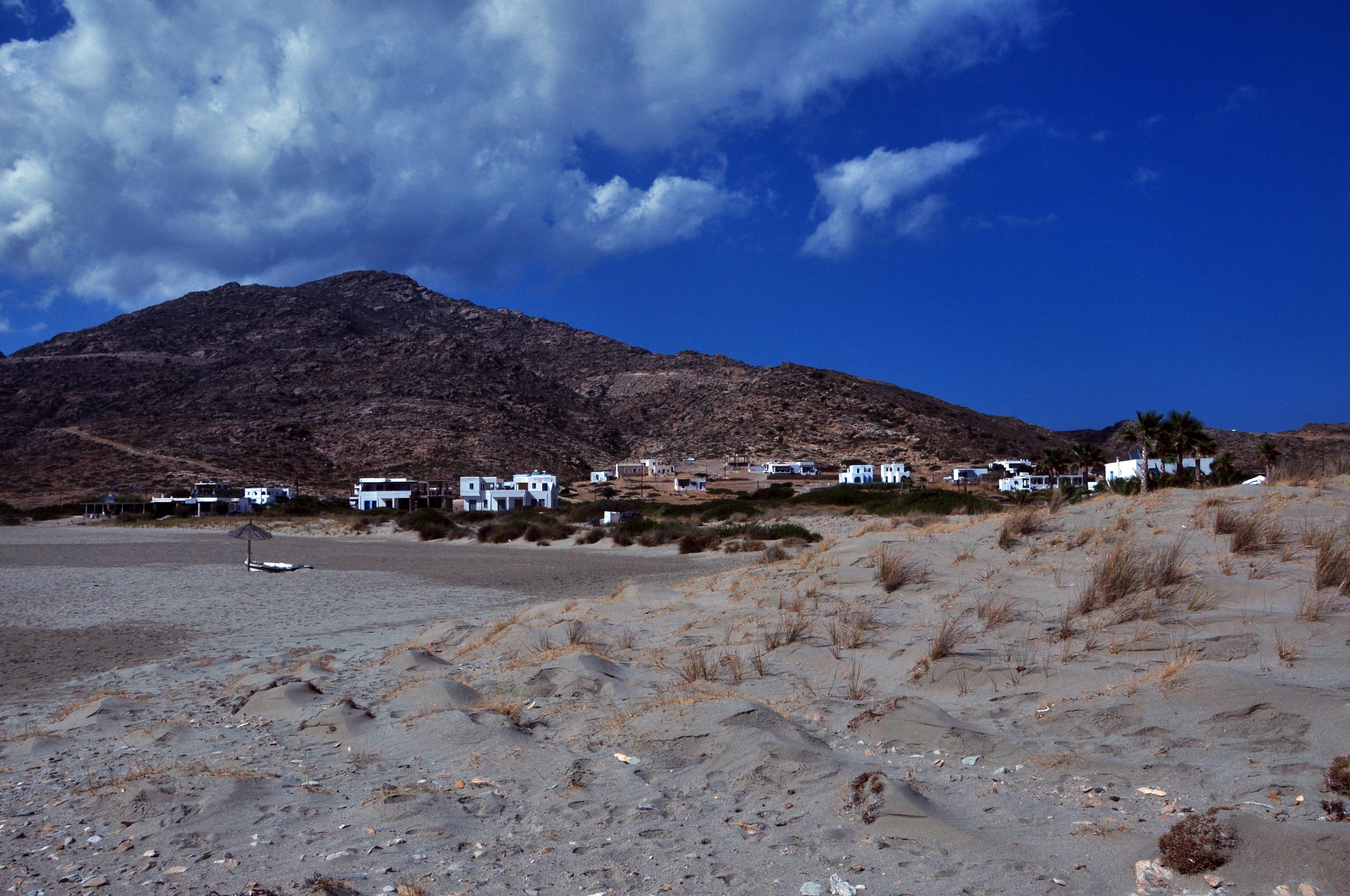 DSC_1236.jpg