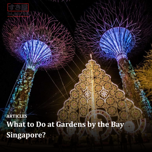 What to Do at Gardens by the Bay Singapore?
