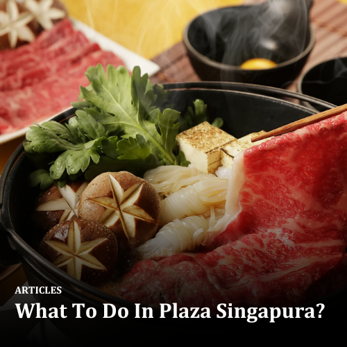What To Do In Plaza Singapura?