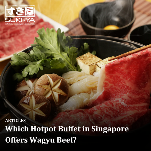 Which Hotpot Buffet in Singapore Offers Wagyu Beef?