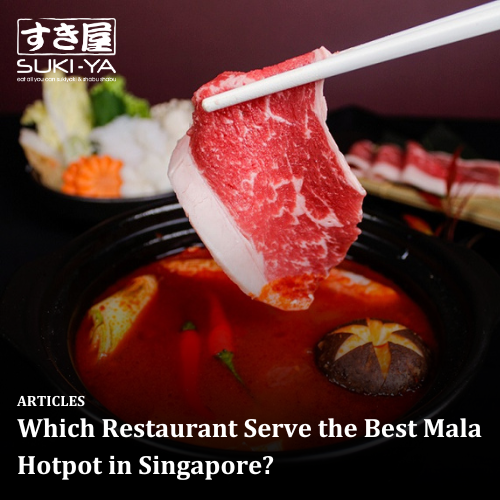 Which Restaurant Serve the Best Mala Hotpot in Singapore?