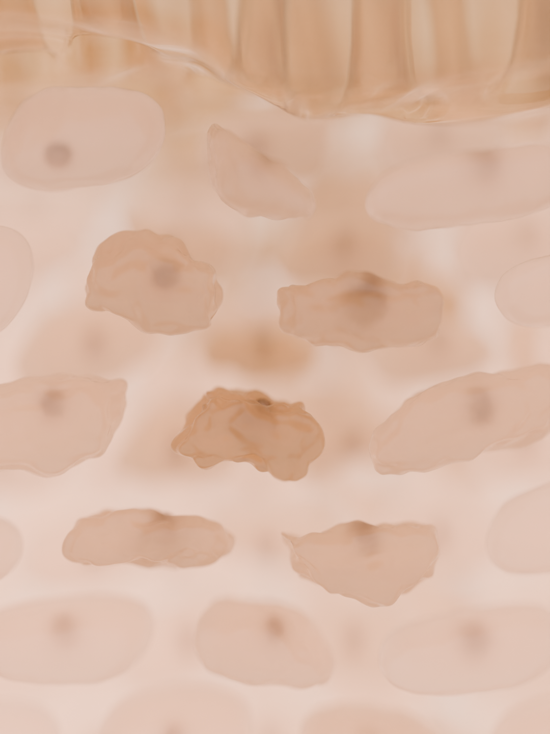 pathOfPeptideF0417.png