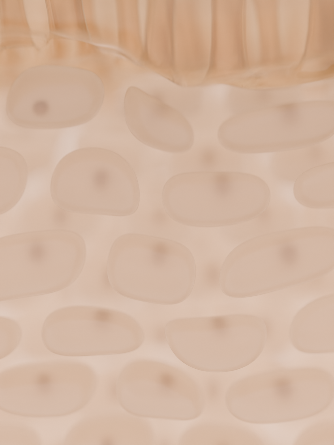 pathOfPeptideF0482.png