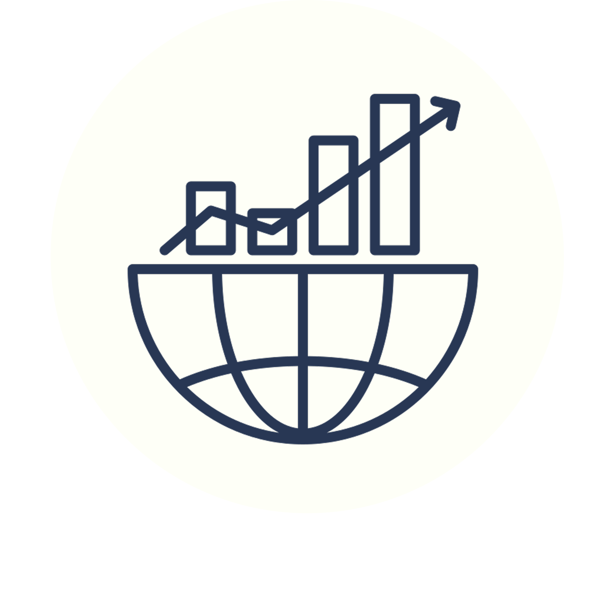 Initial Public Offering (IPO) preparation