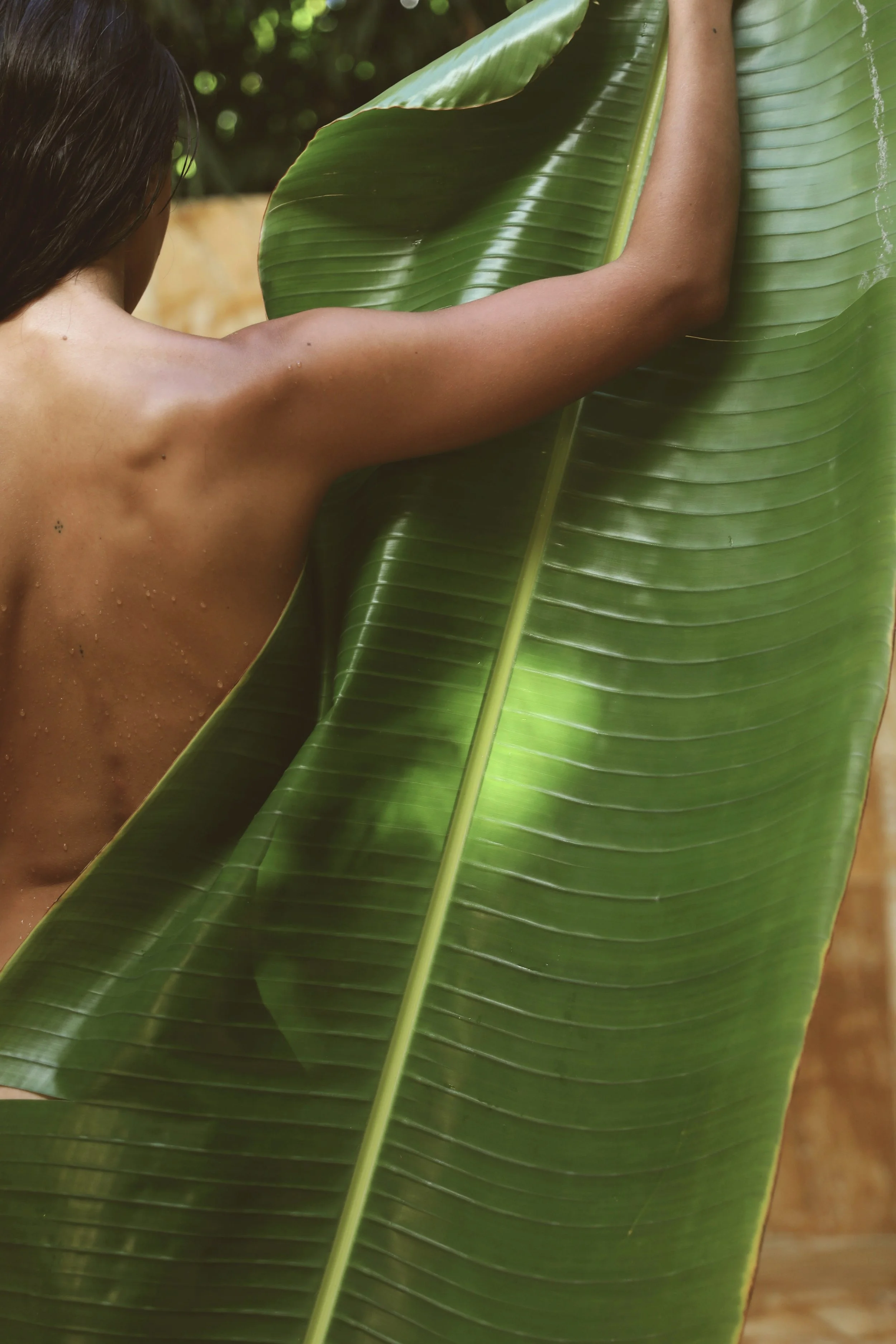 Revive &amp; Renew Treatment Set - January