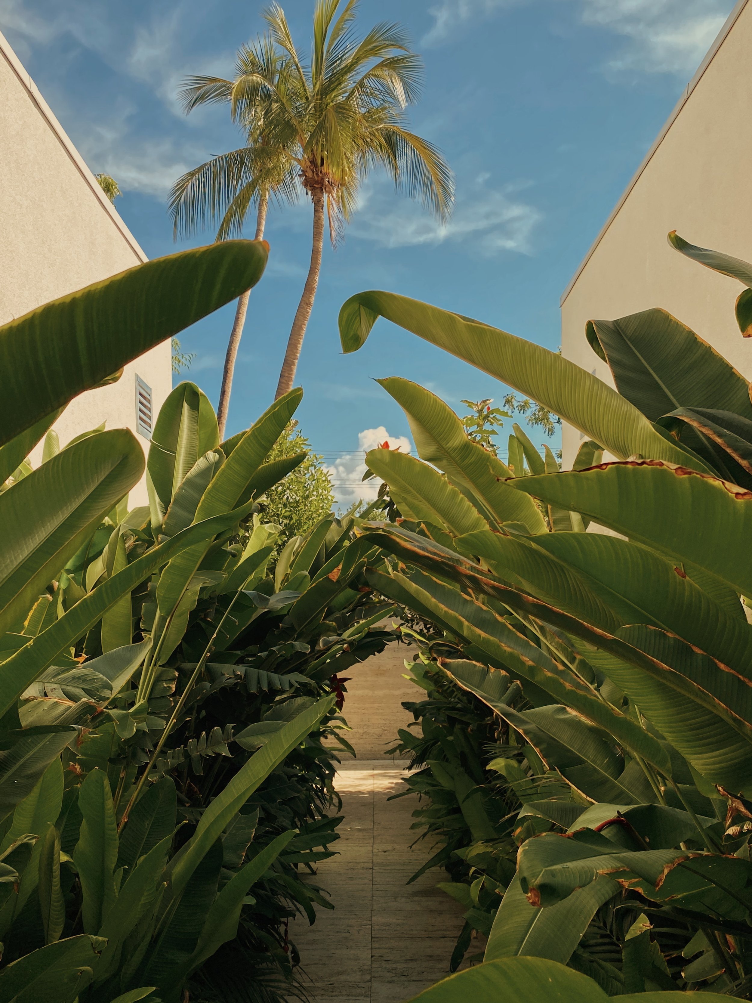 Garden Club Retreats - Face &amp; Body Sculpture - August 