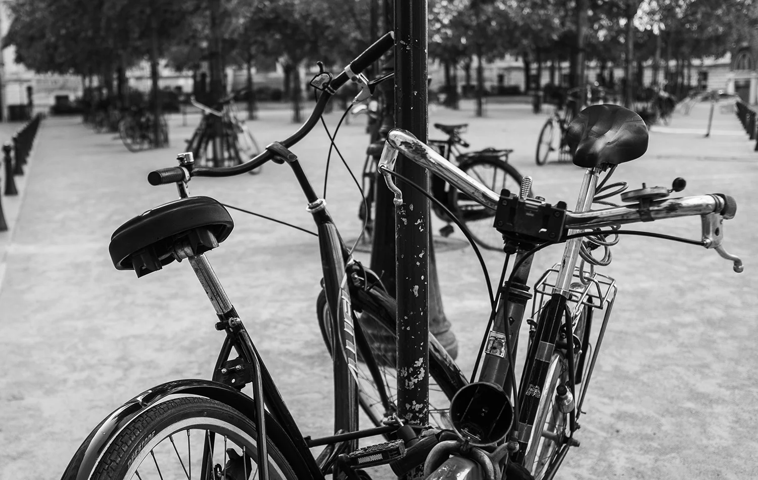 Miguel_Witte_Paris-1.jpg