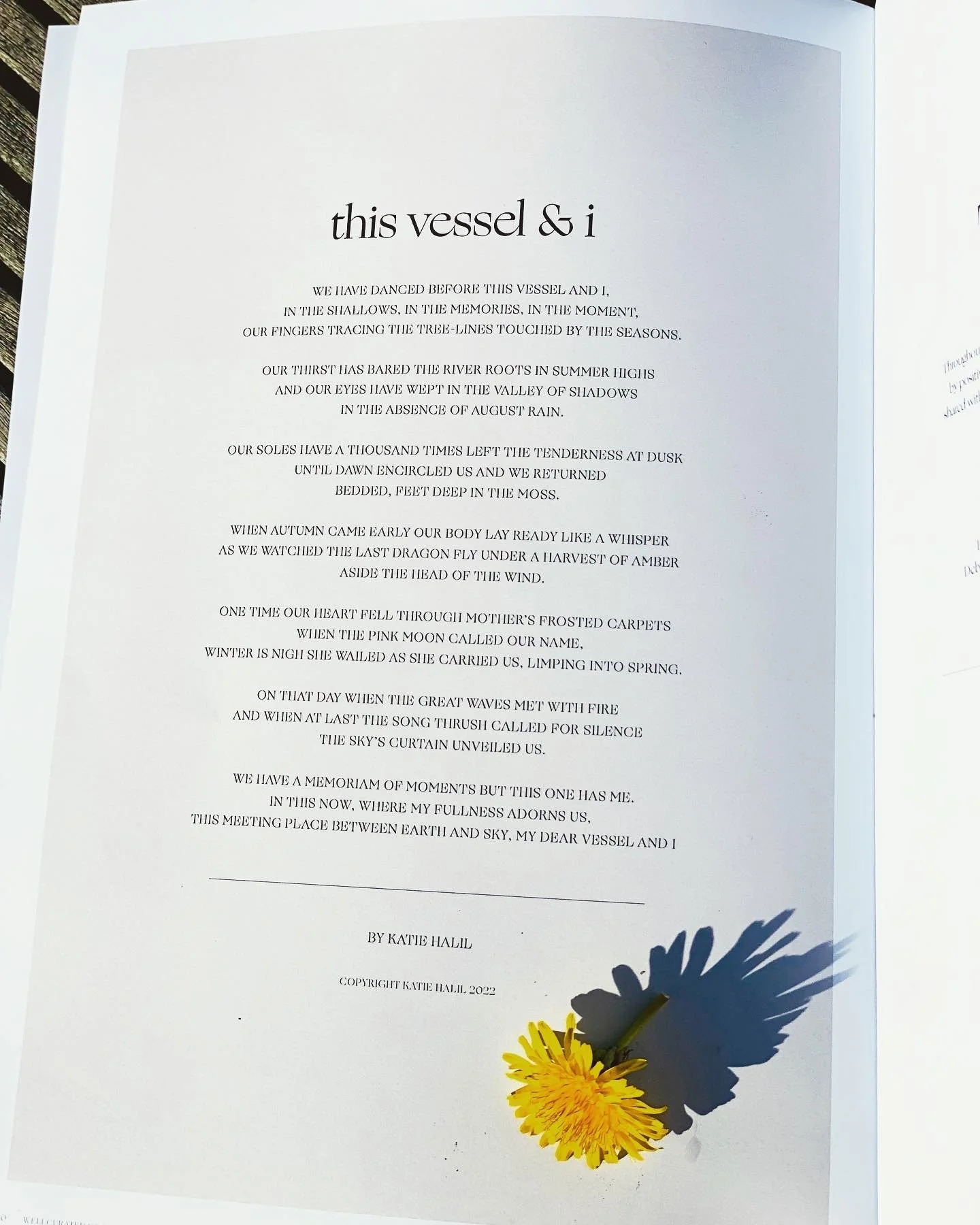 poem for Well Curated ~ this vessel & i 