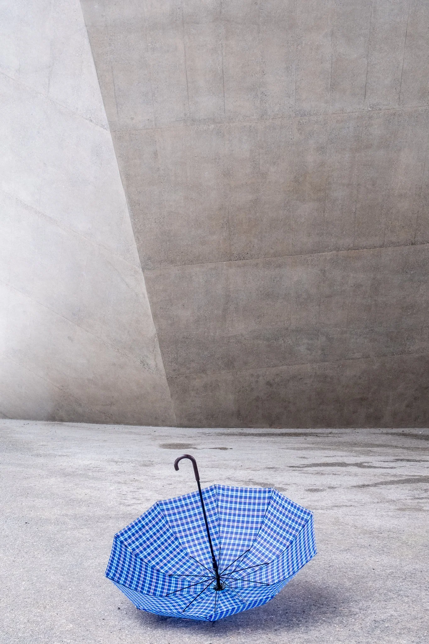 the blue umbrella
Chf. 70.- 