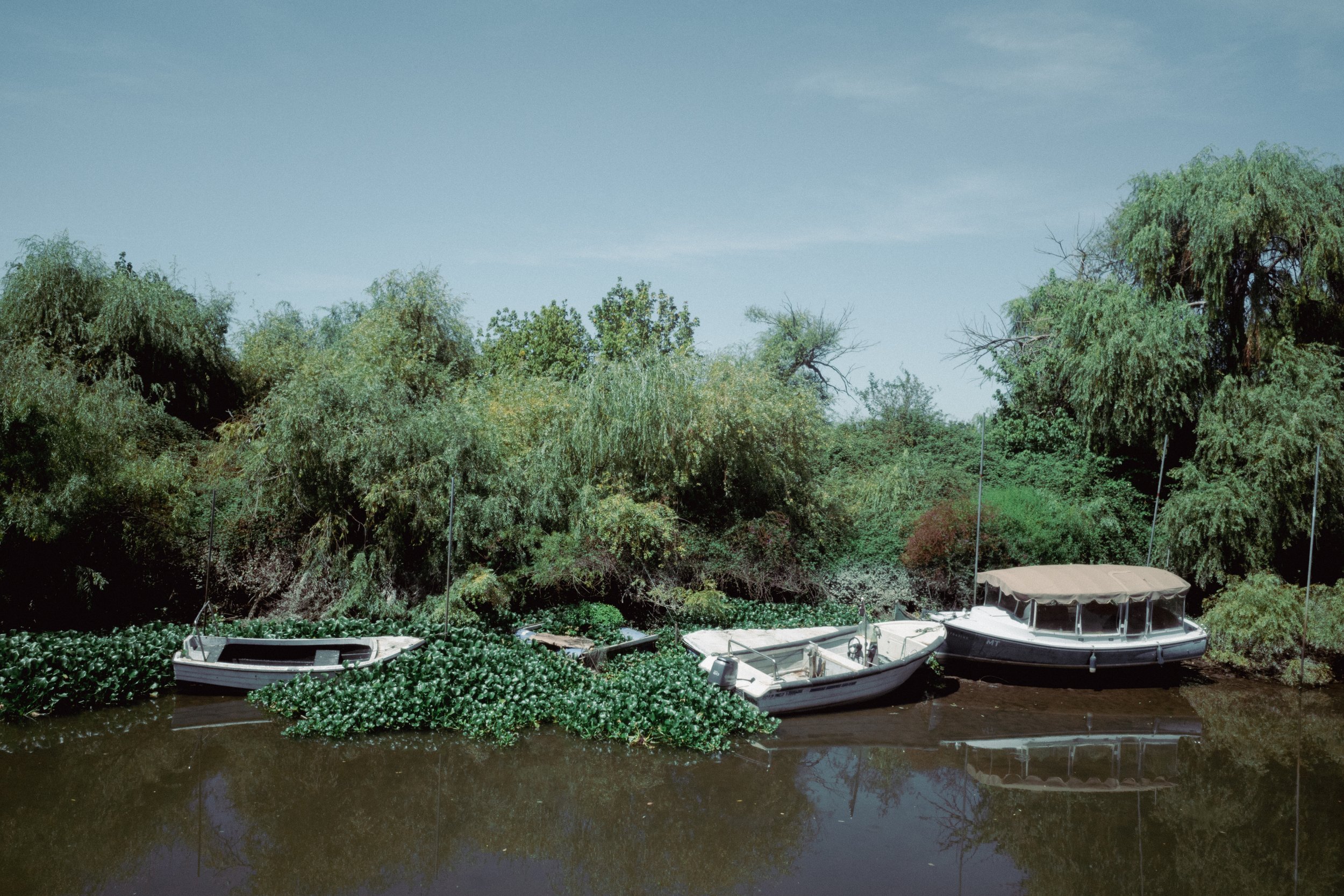 Serra da Estrela to Setubal (39).jpg