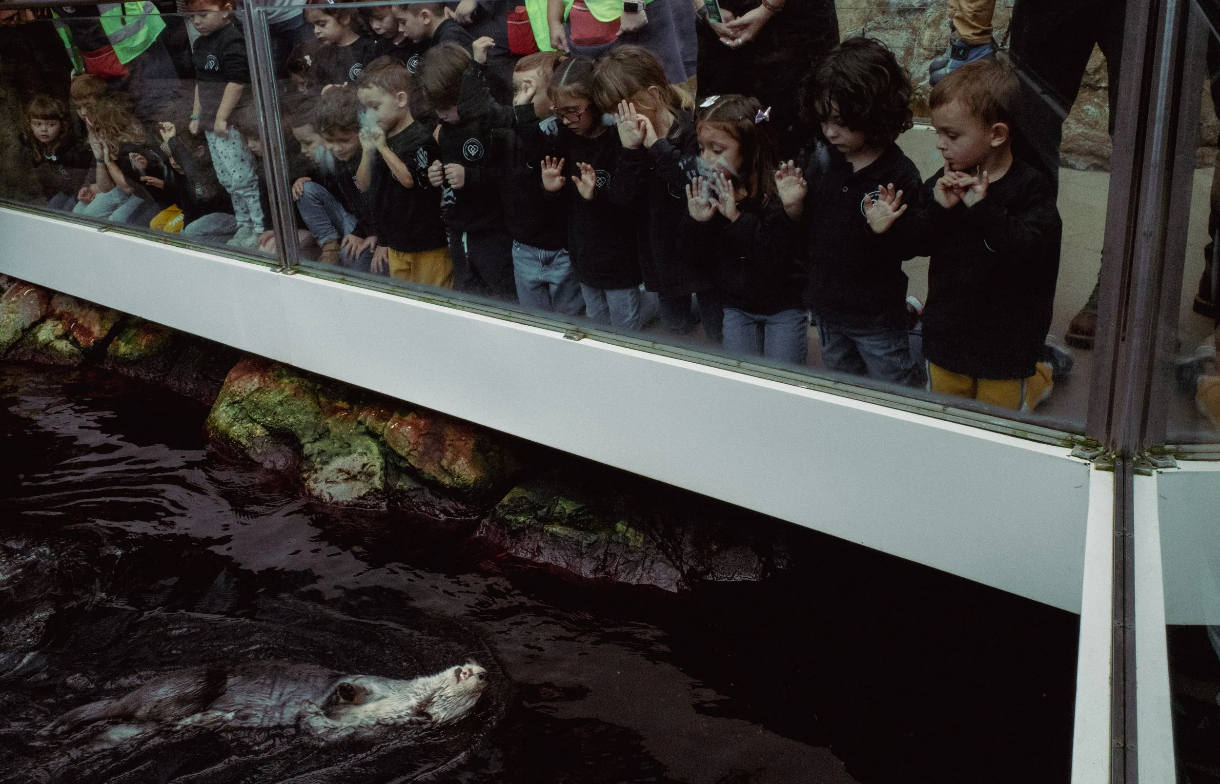 unbenannt (6 von 60).jpg