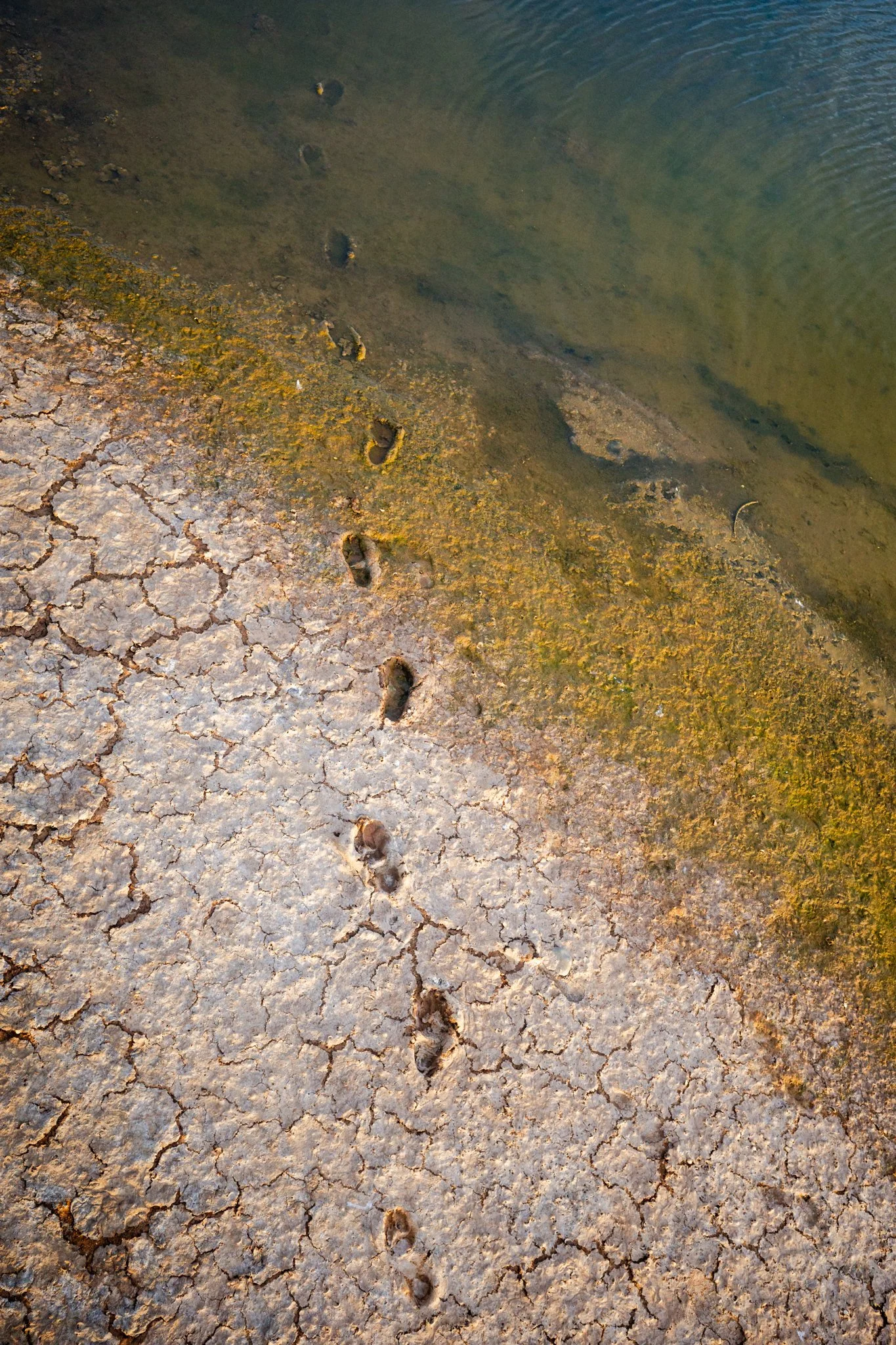 R0018597.JPG
