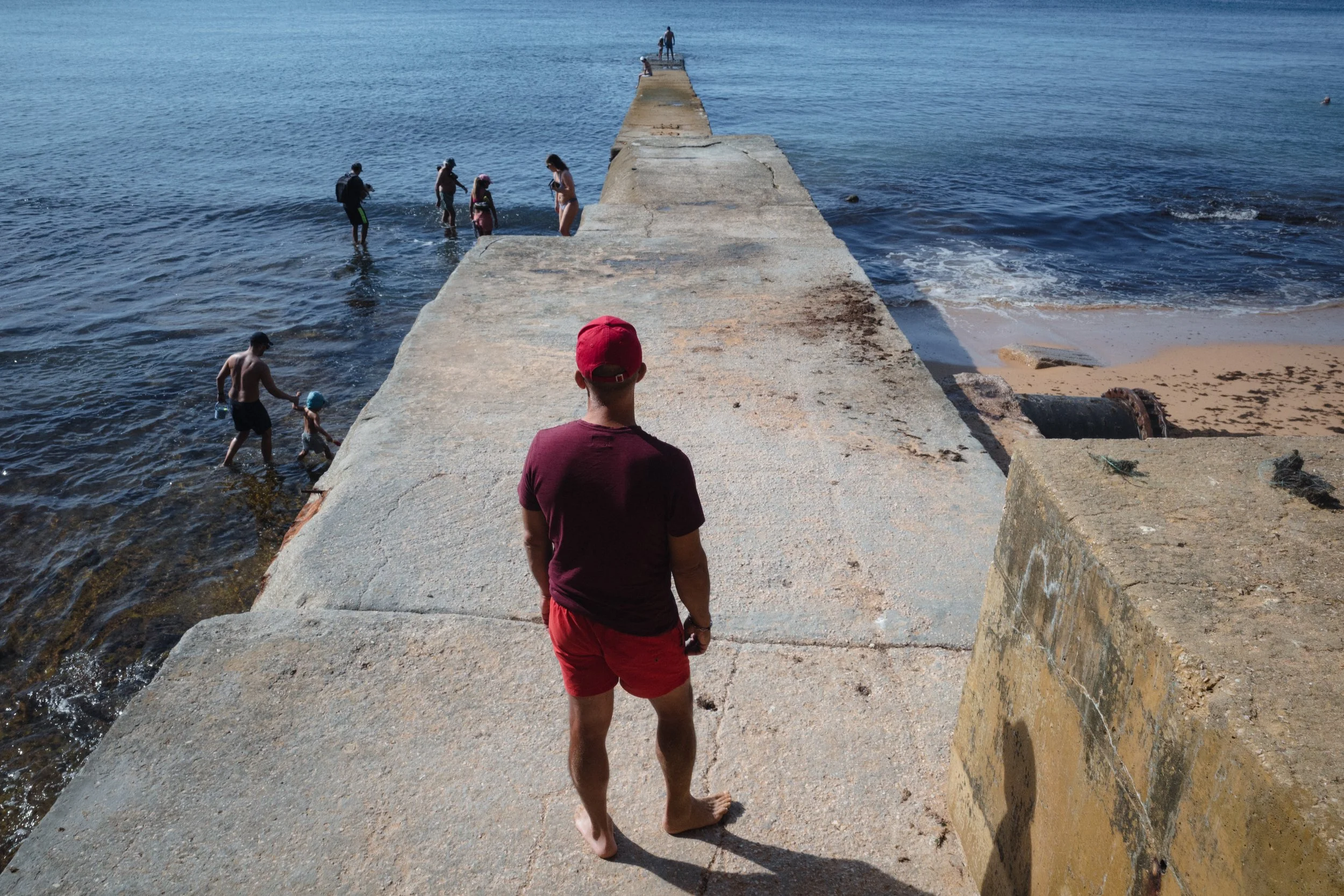 Armacao de pera 2023 (2).jpg