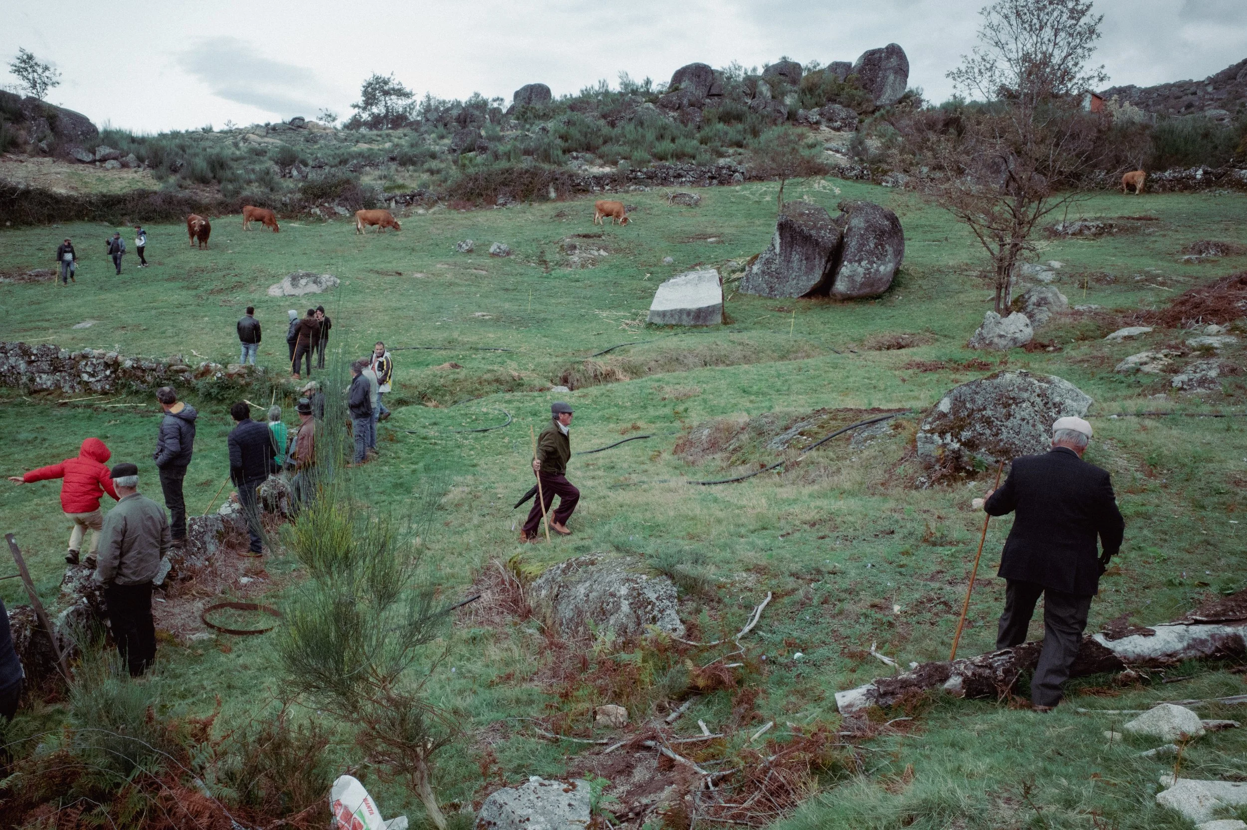 unbenannt (17 von 61).jpg