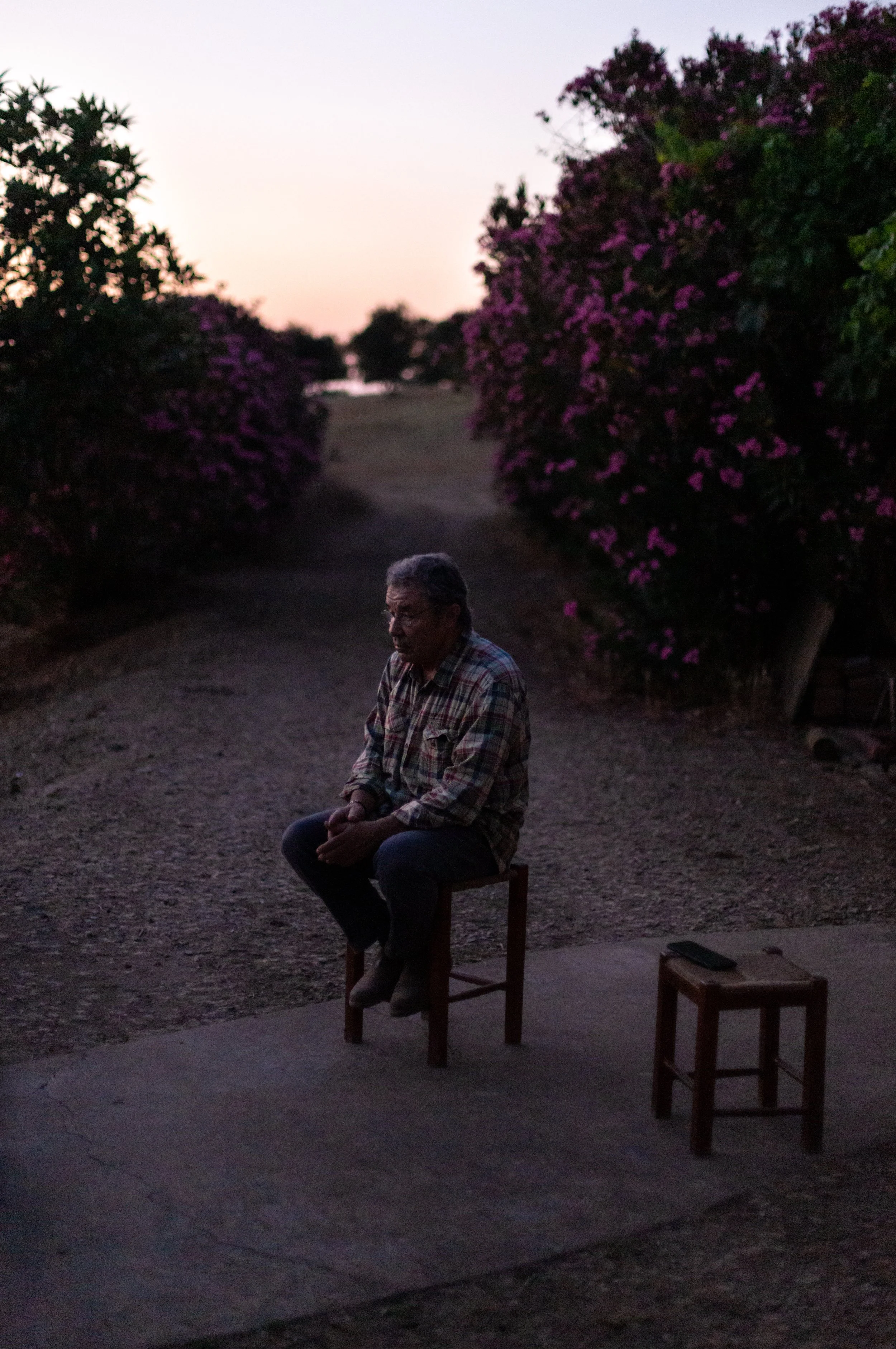 "A farmer observing his sheep herd at dusk." Portugal 2023
