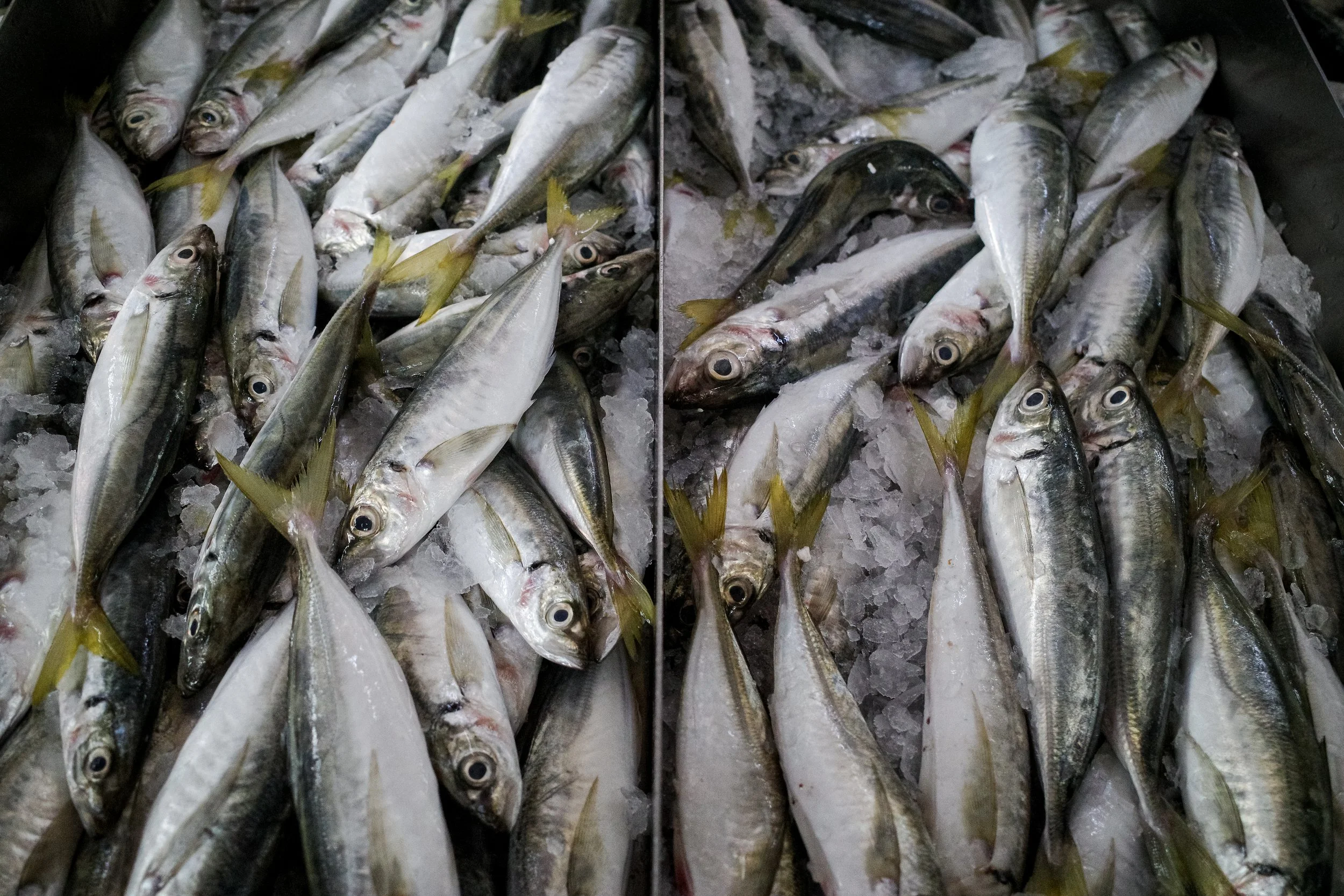 unbenannt (2 von 4).jpg