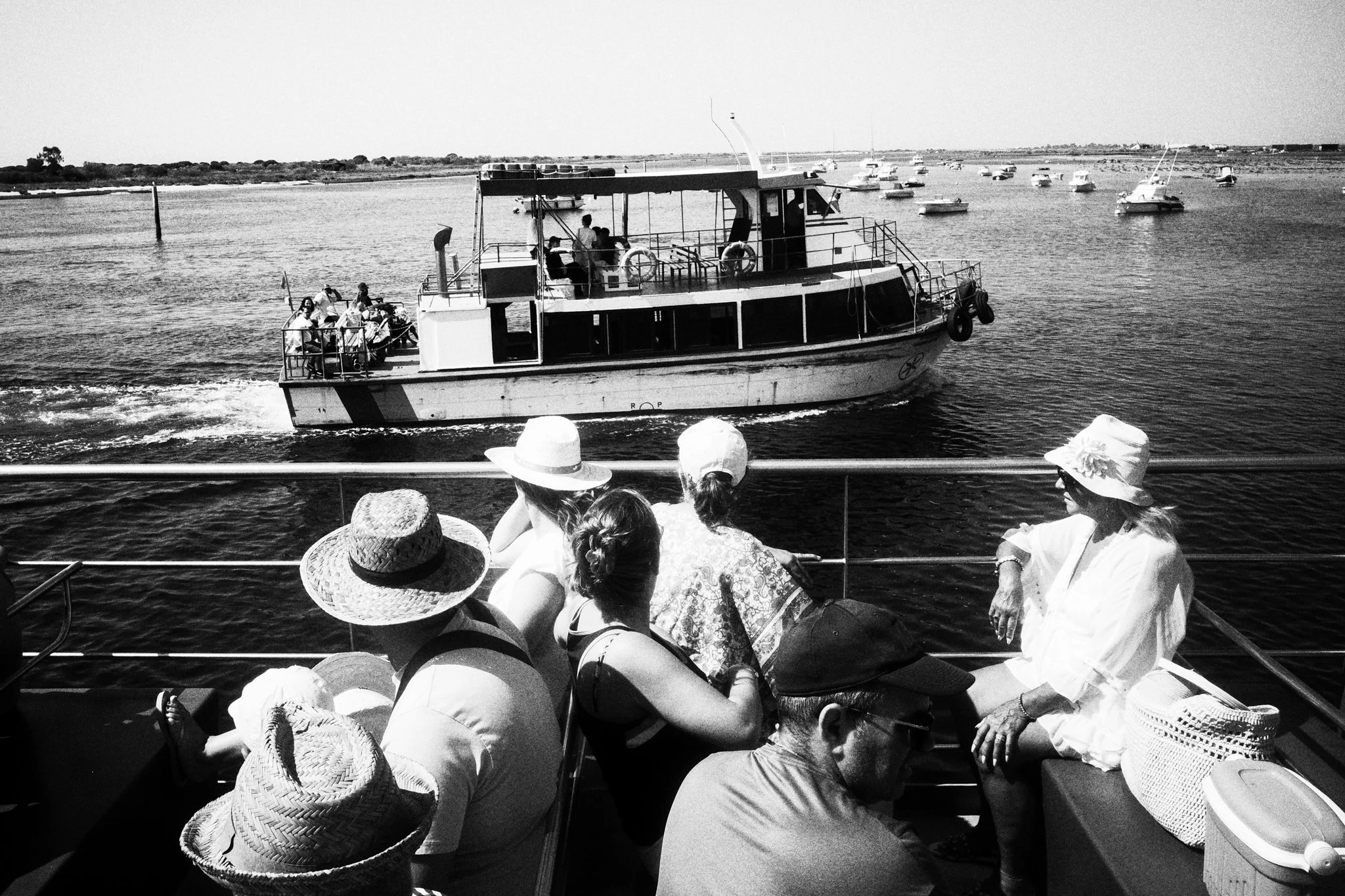 R0009095.JPG