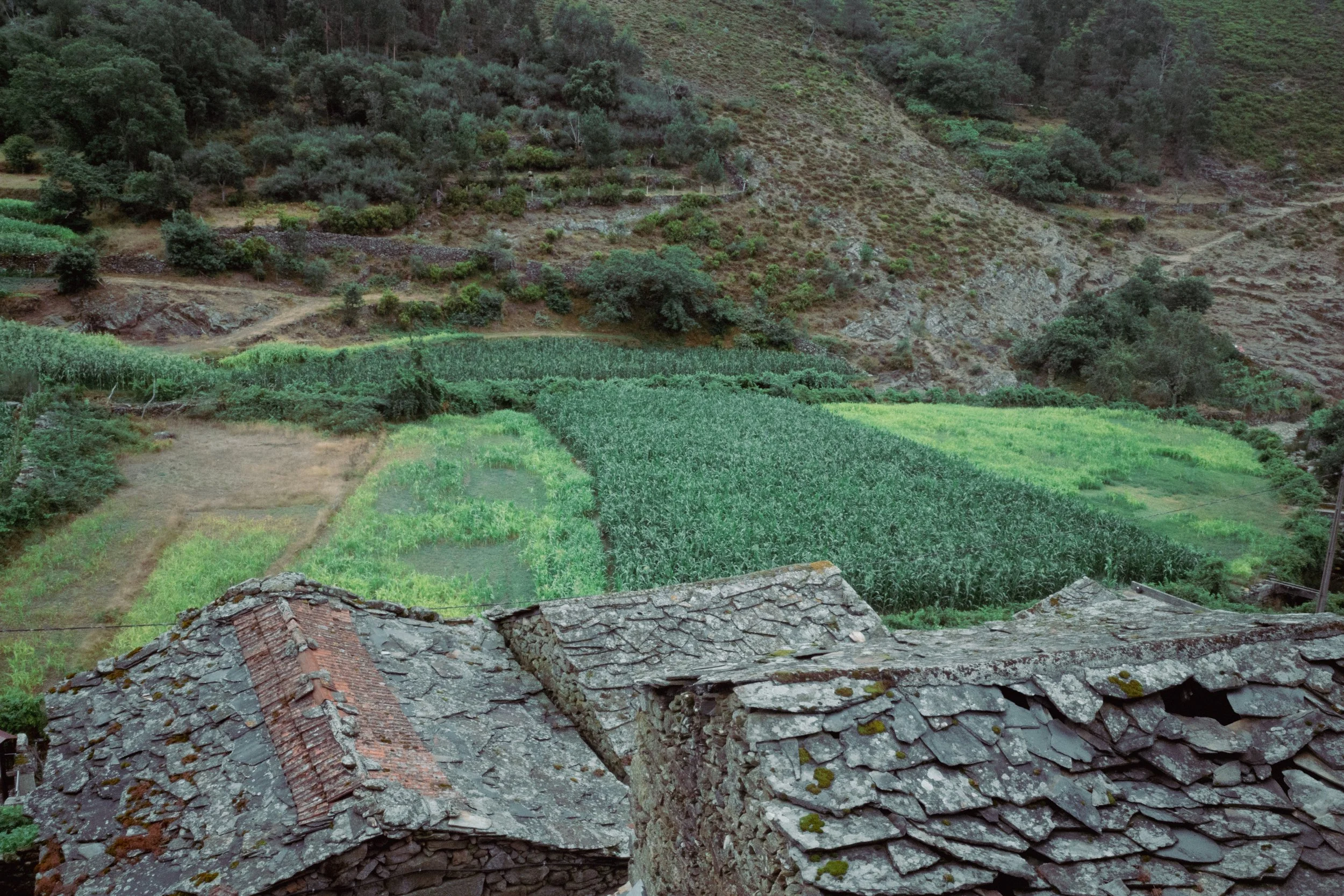 Pereira & Covas do Monte (35).jpg