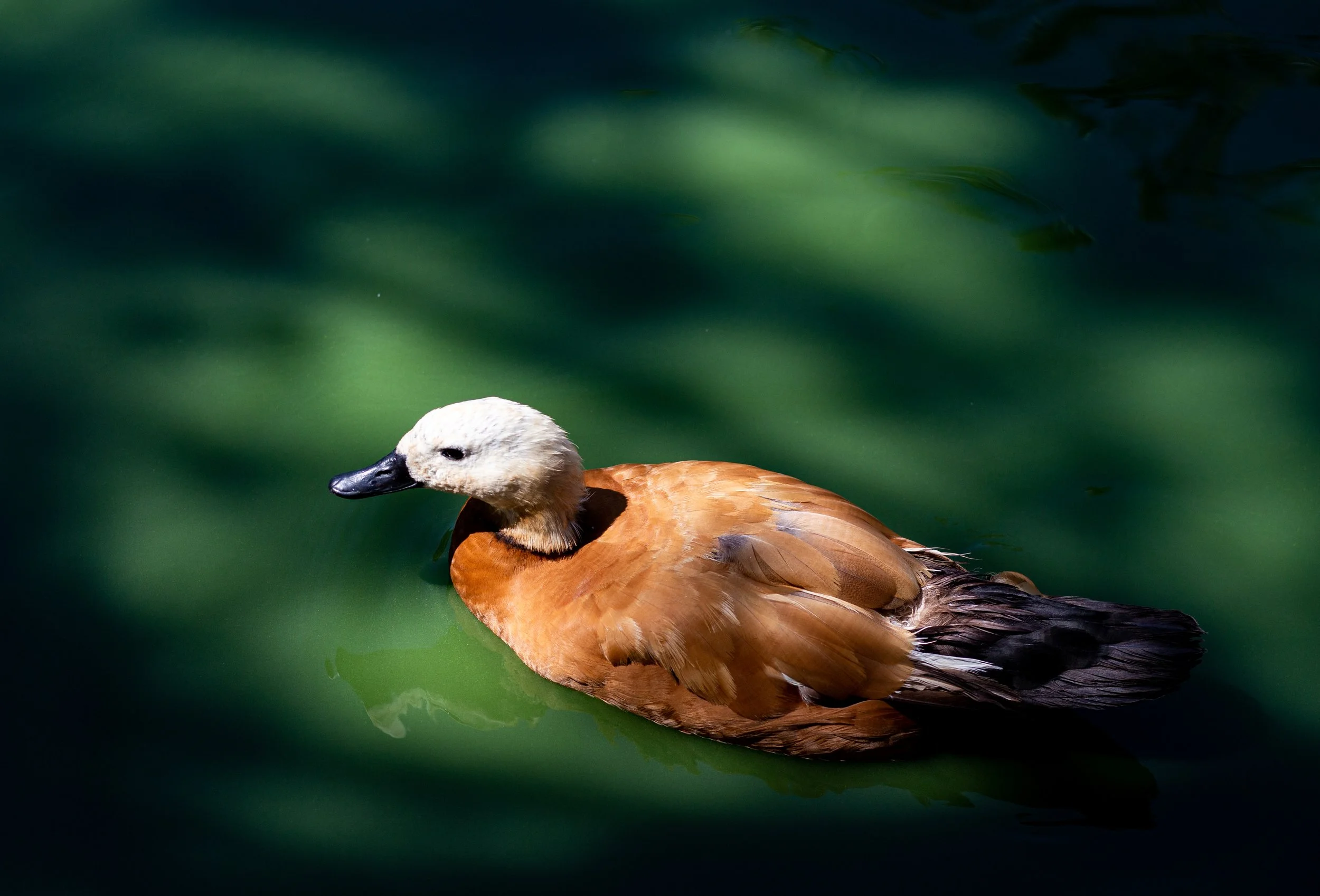 Algarve 2023 (1).jpg