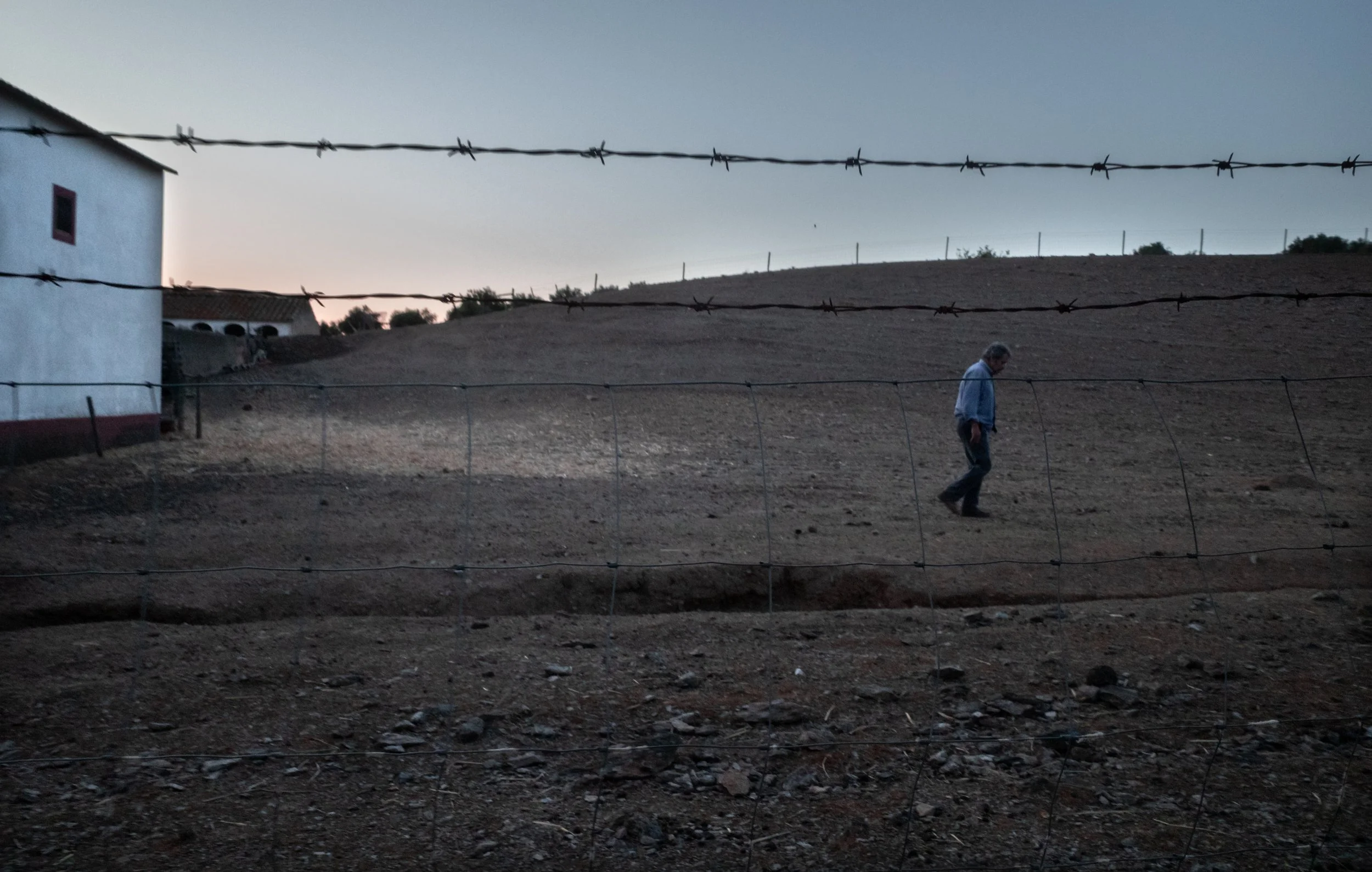 Alentejo2023 (1).jpg