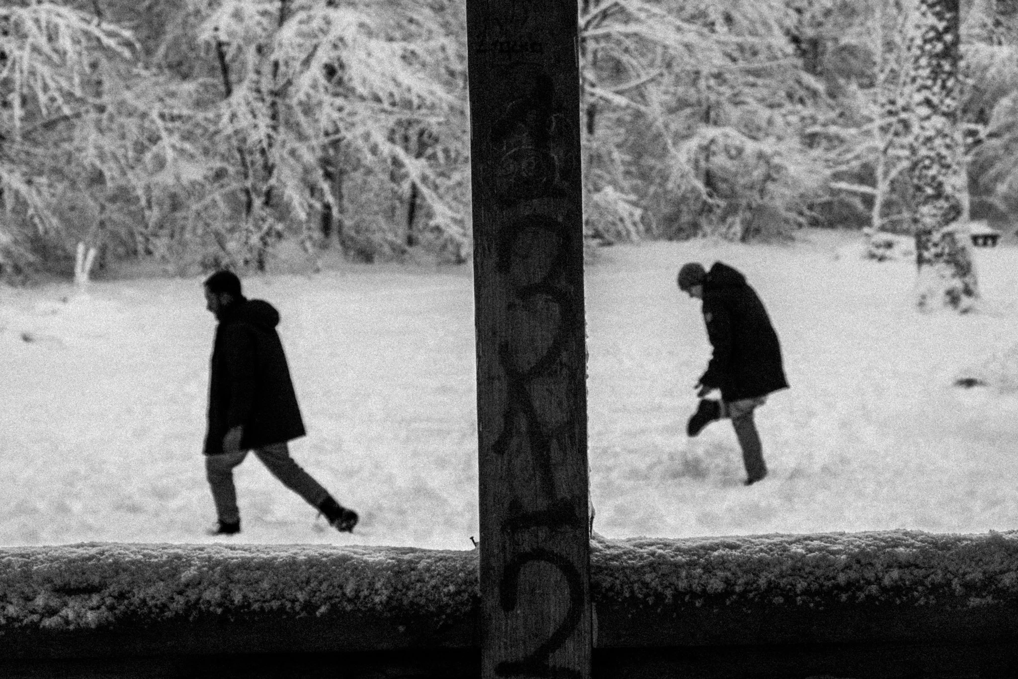 Zürichberg, Zürich 2026