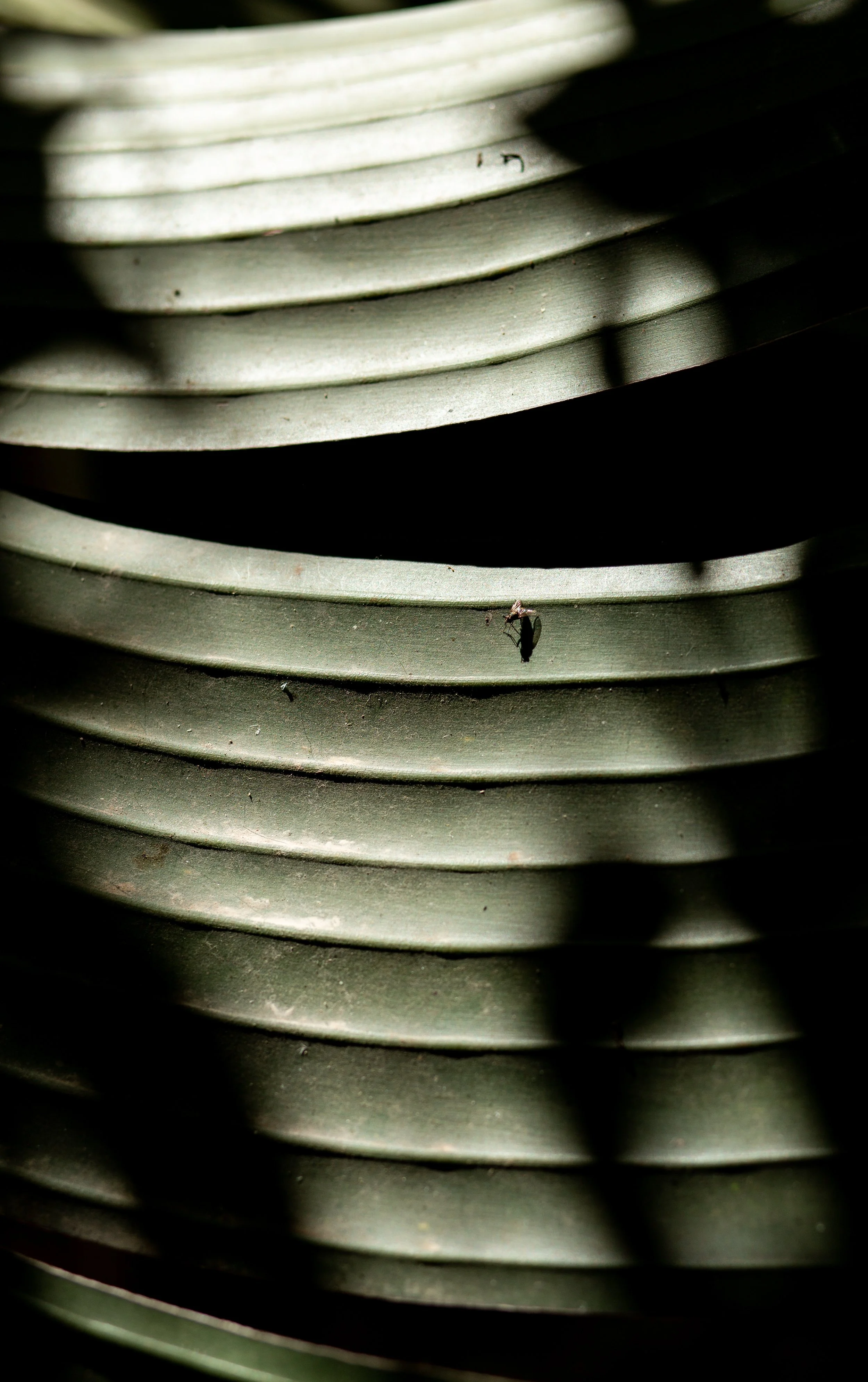 Algarve 2023 (15).jpg