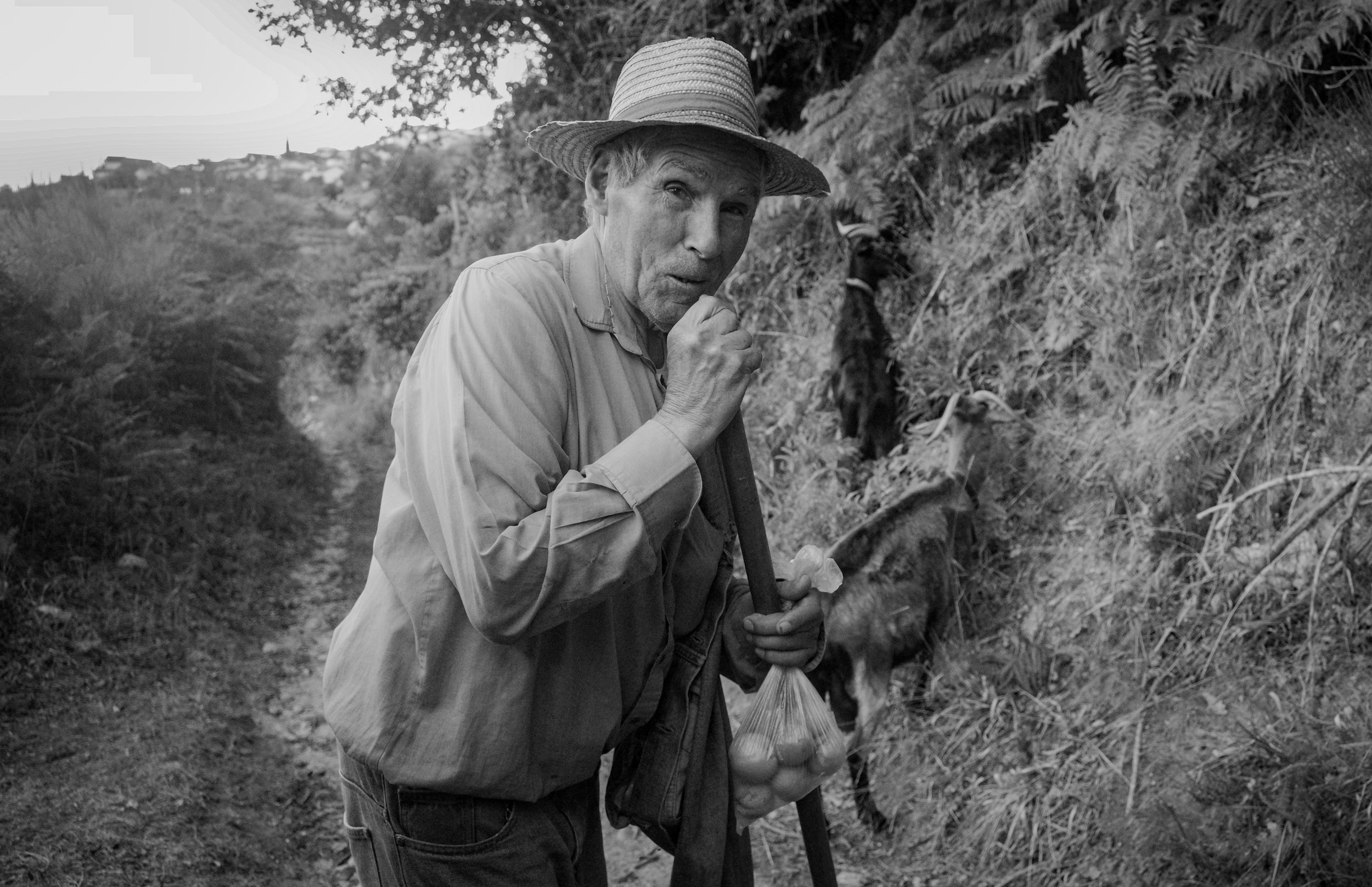 "An old shepherd from Castro Daire." Portugal 2022