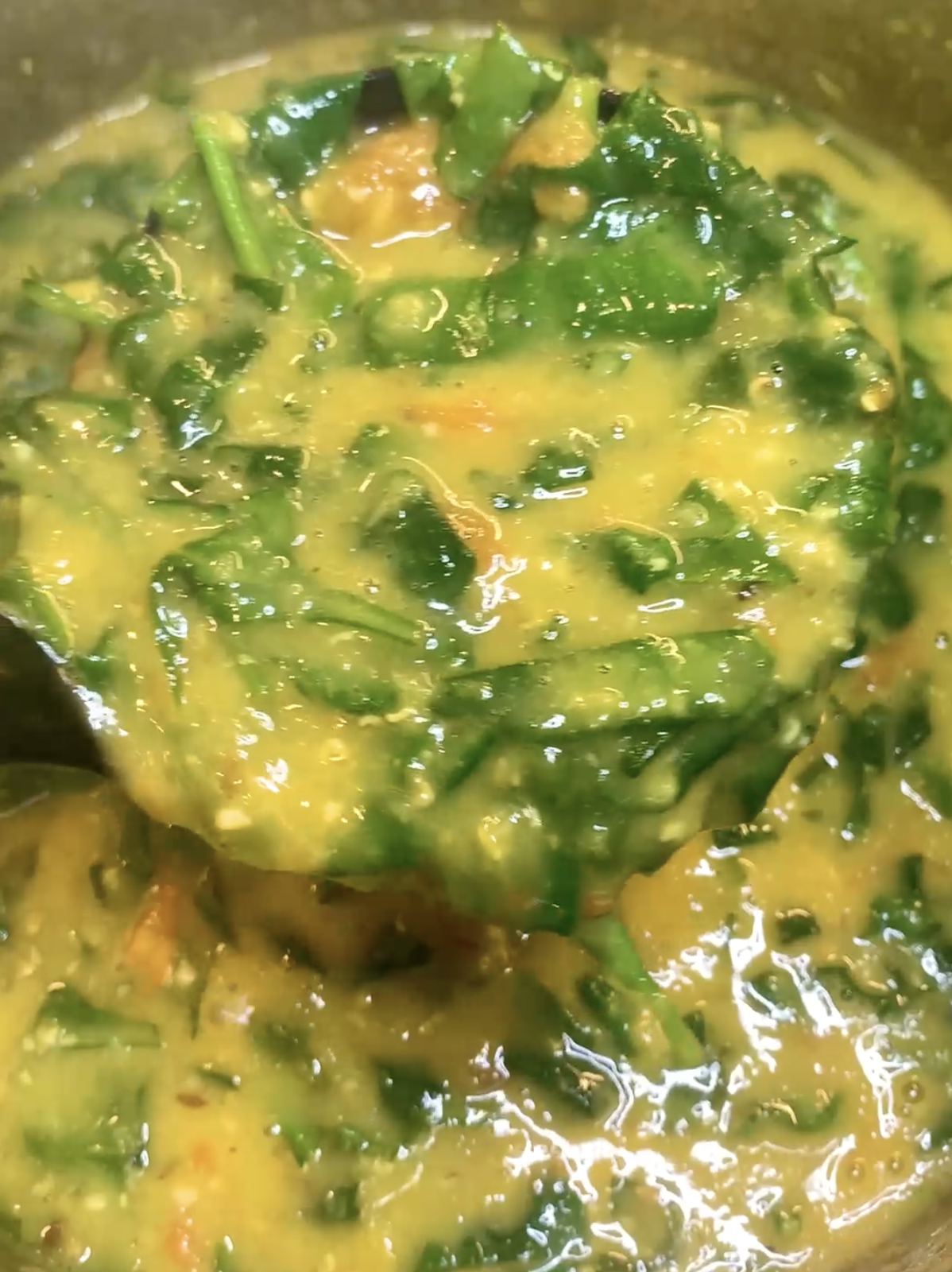 Spinach Dal (Palakura Pappu / Dal Palak)