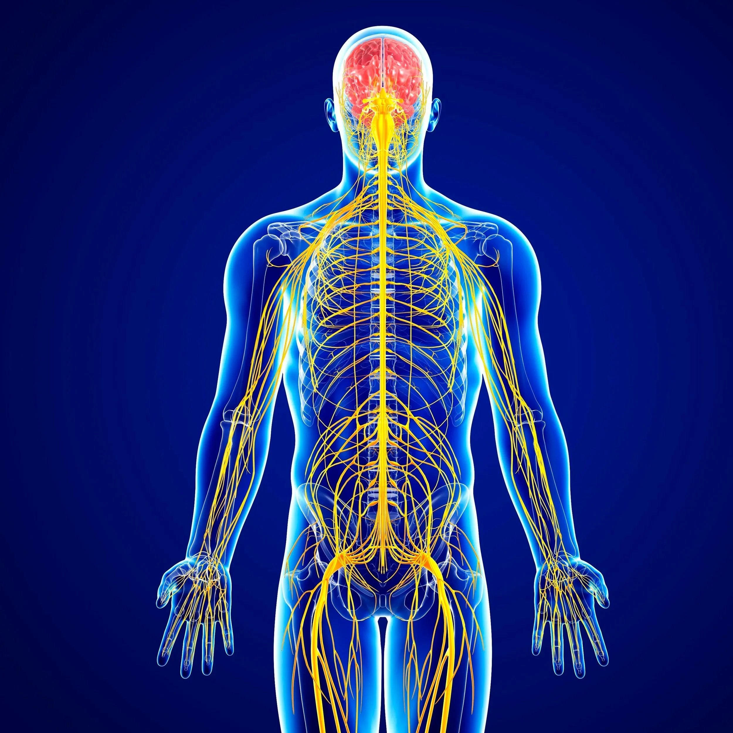 A vibrant green mandala with a radial design, symbolizing spiritual energy and harmony for the Heart Chakra.