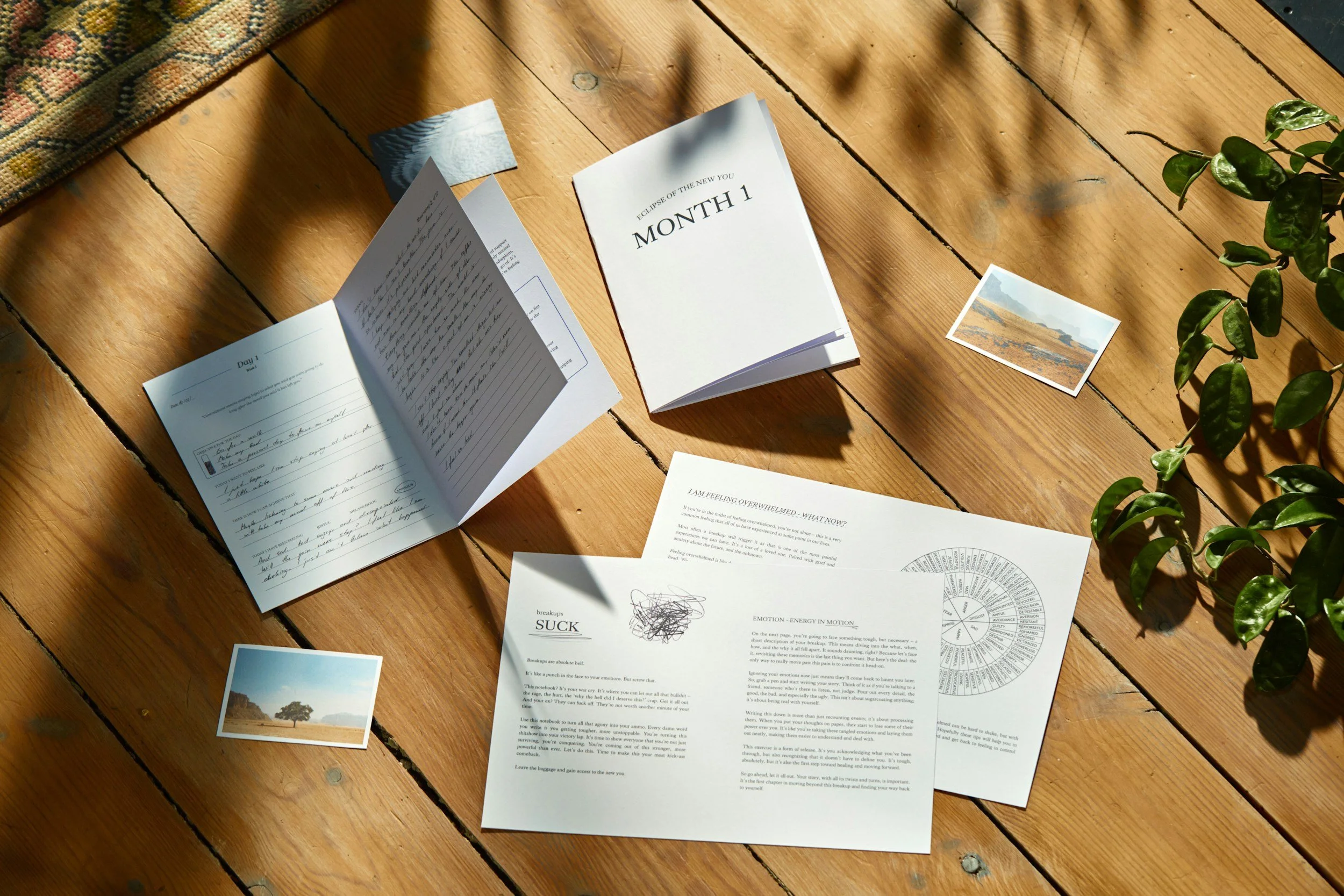 Open books, printouts, postcards, and photographs on a wooden floor, with a potted plant nearby.