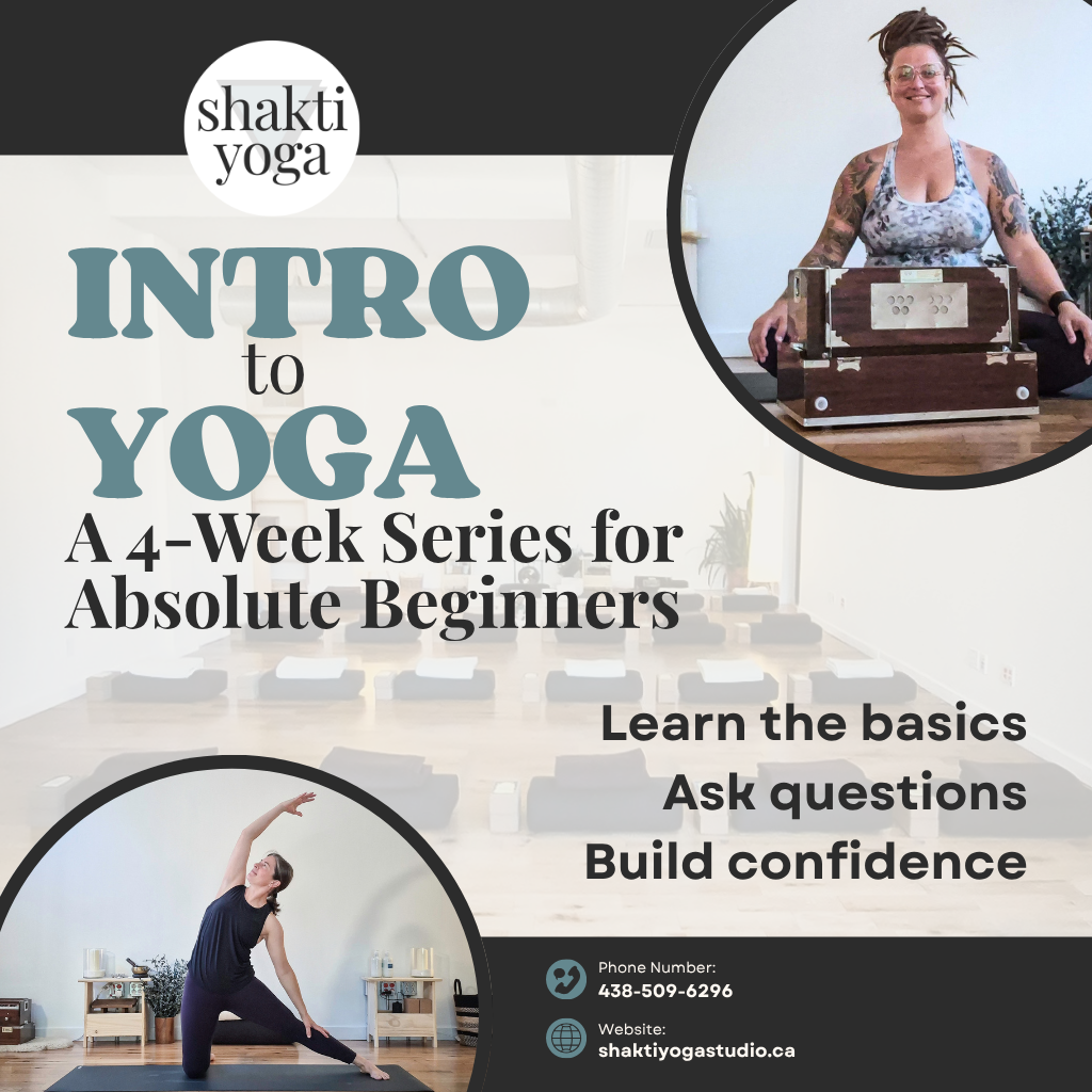 Introduction au yoga : une série de 4 semaines pour les débutants absolus