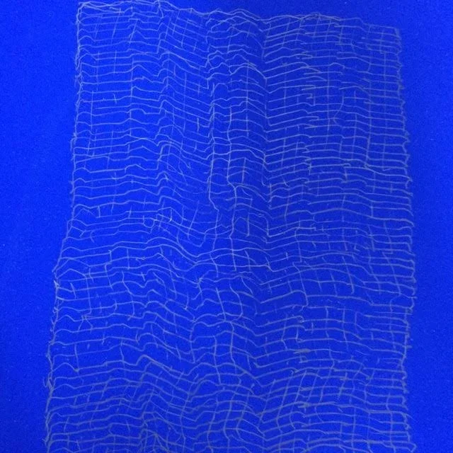 8: Acrylic and white pigment 10'X7' 2008