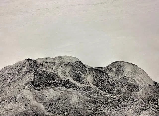 16: Mixed media on paper 16” x 29” 2022