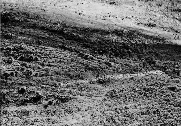 22: Mixed media on paper 38” x 50 2020