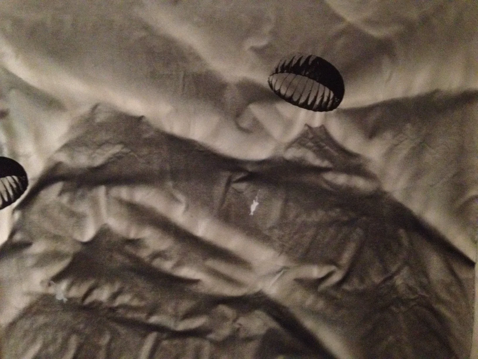 13: Oil on canvas 7’ x 7’ 2011