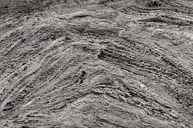 19: Mixed media on paper 19" x 24" 2022