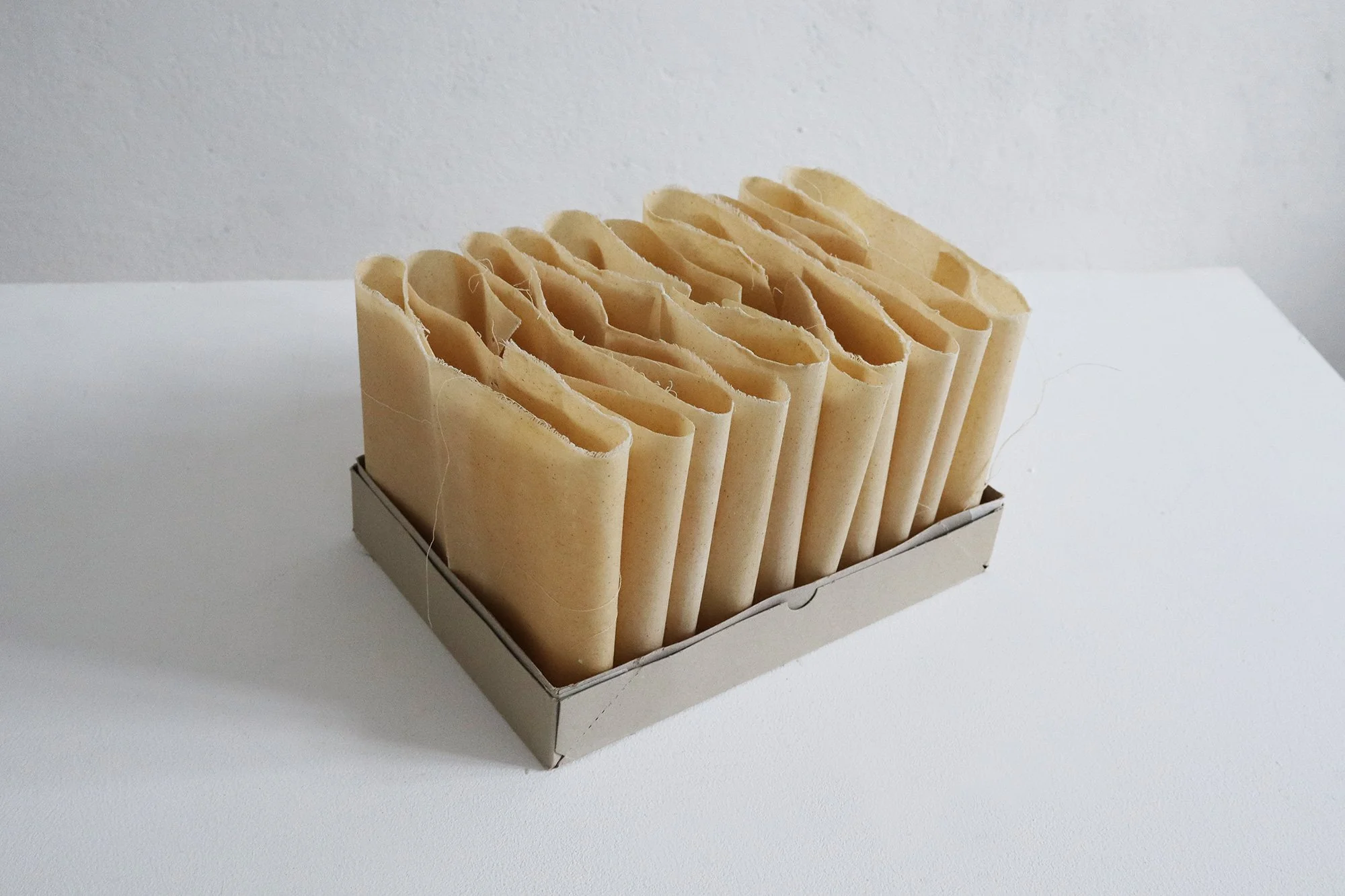 Ruminant Archive (Molar) Entry Gallery