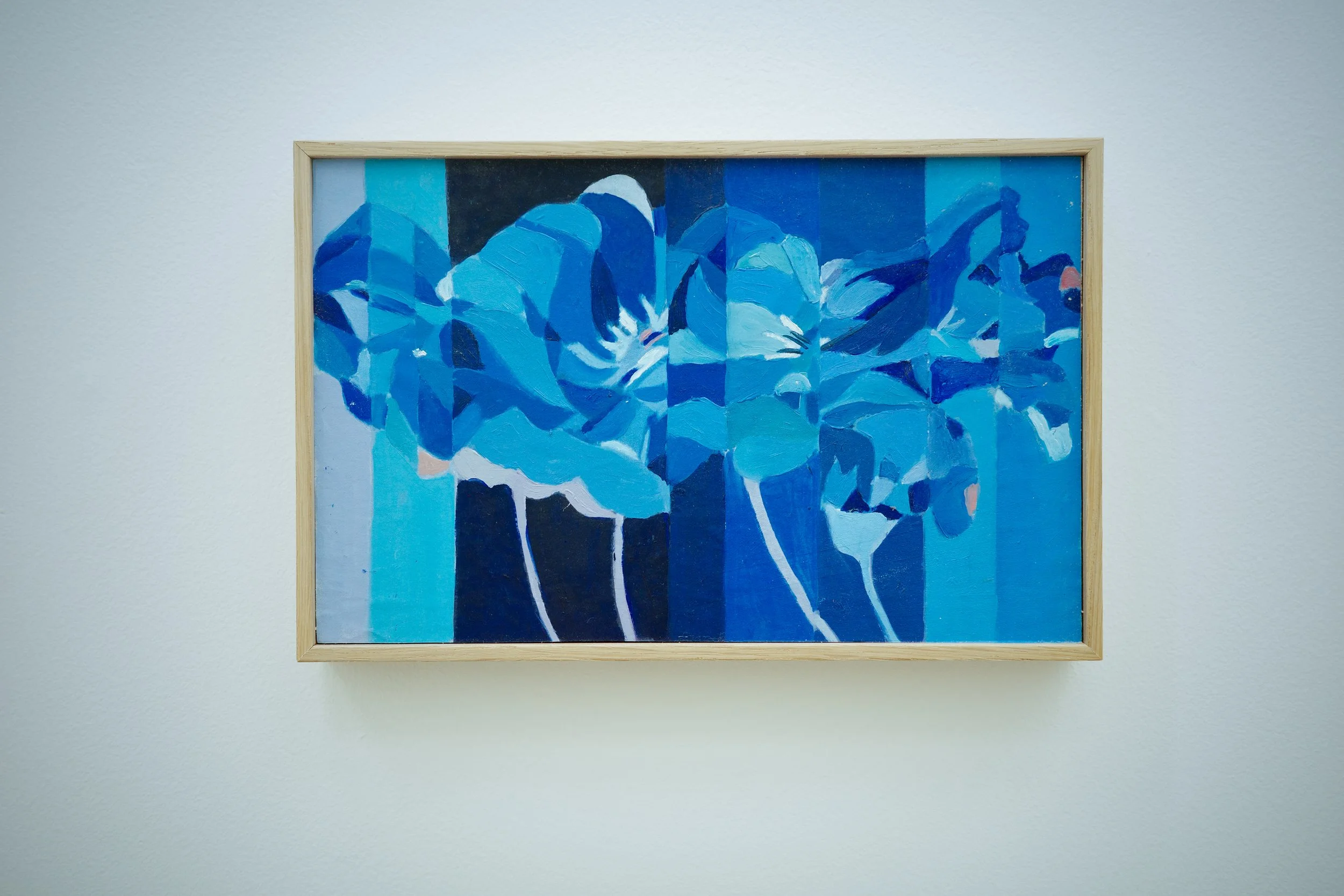 Unknown Territory blue