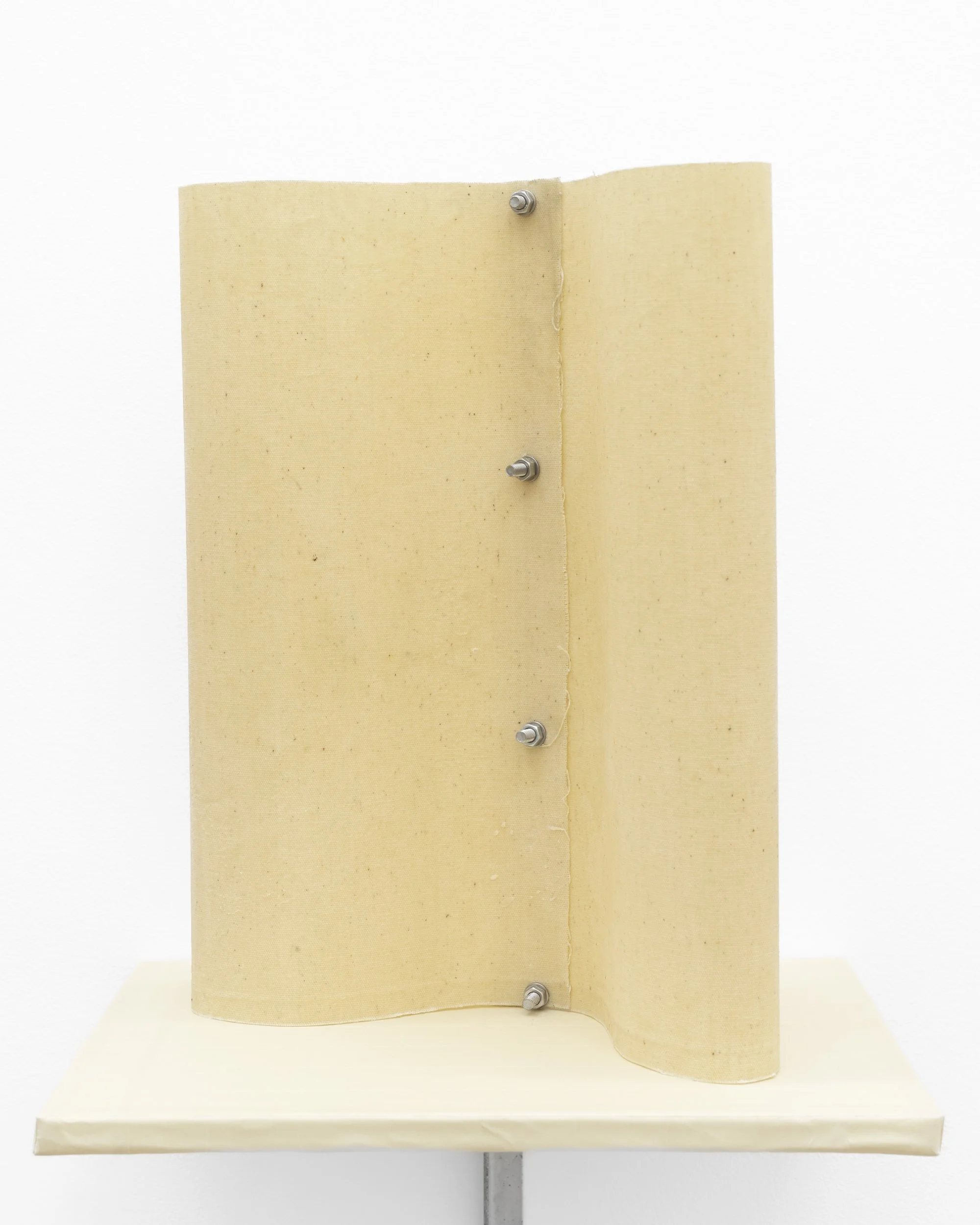 Alter Torso II / Entry Gallery