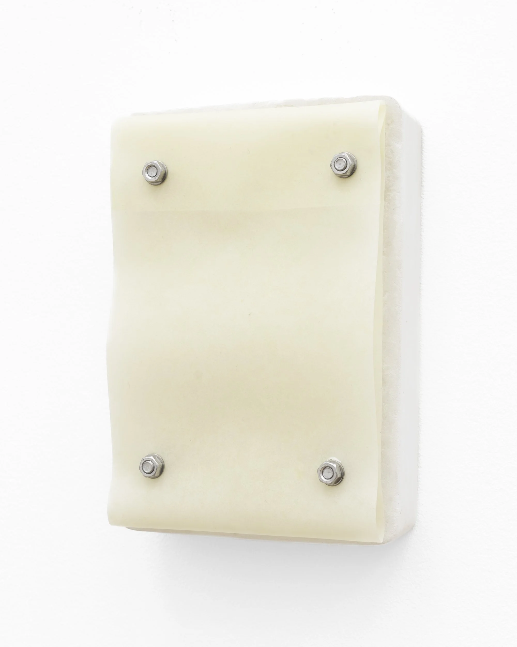 Derma Flexion / Entry Gallery