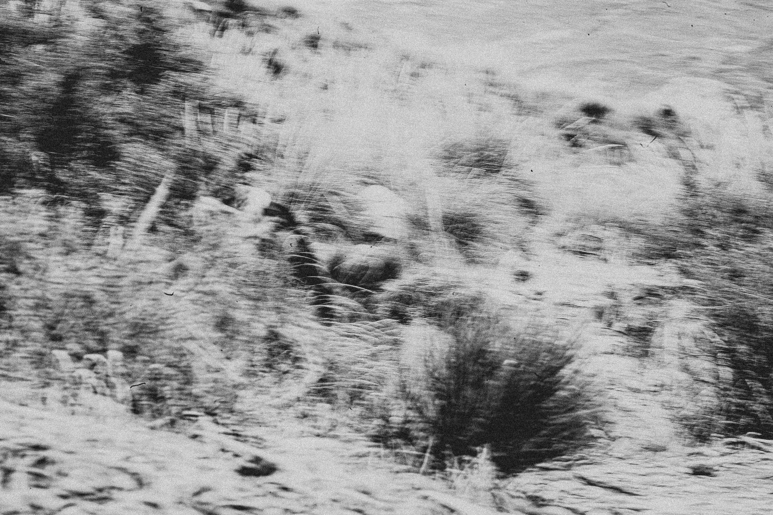 Untitled II.I Jaïr M. Castillo