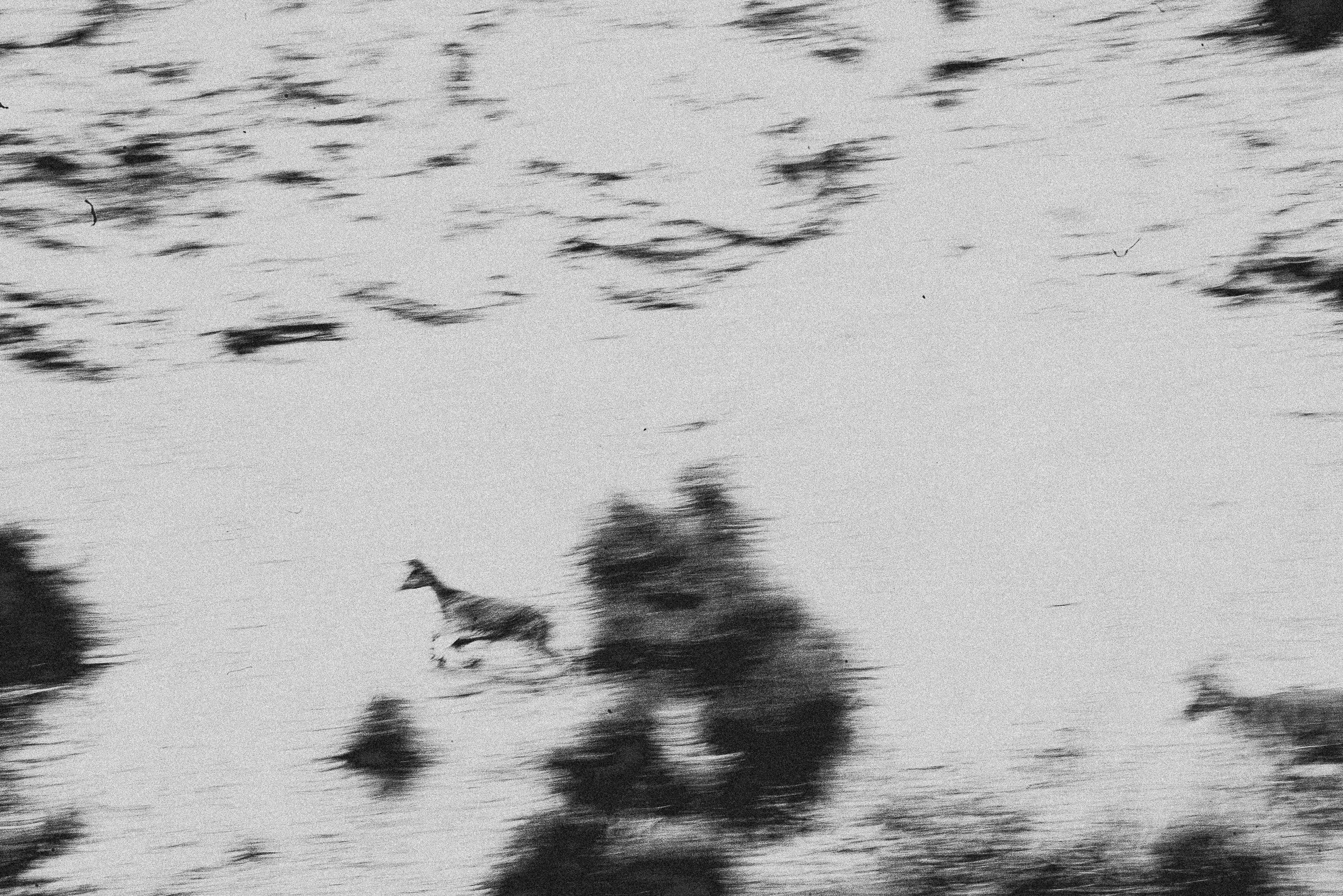 Untitled II.II Jaïr M. Castillo