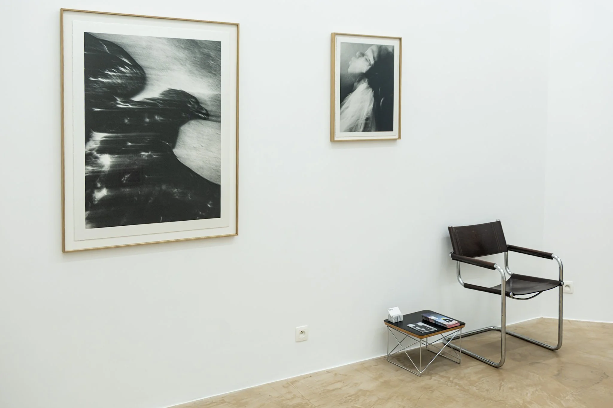 Den Silencio Entry Gallery