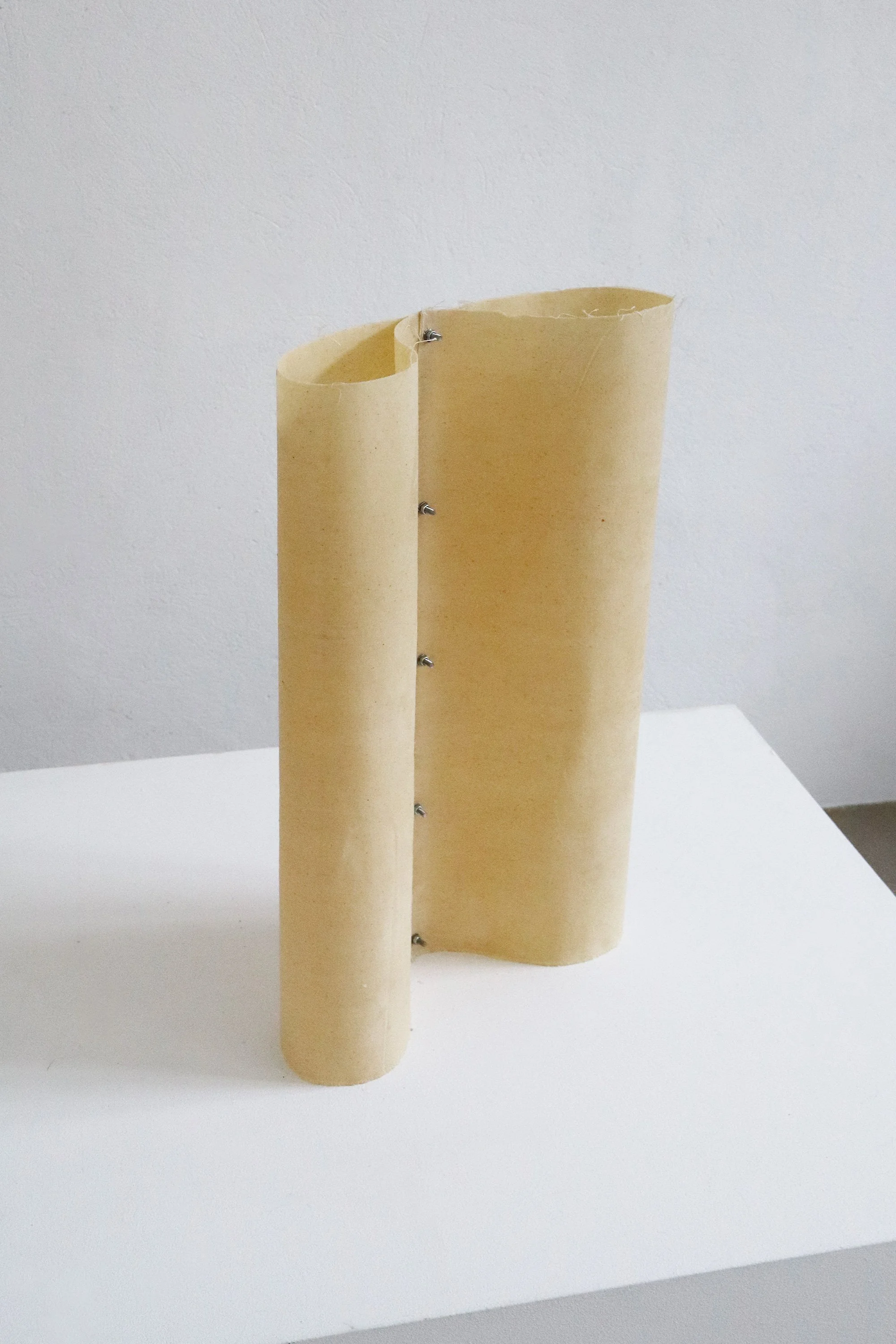 Alter Torso I Entry Gallery