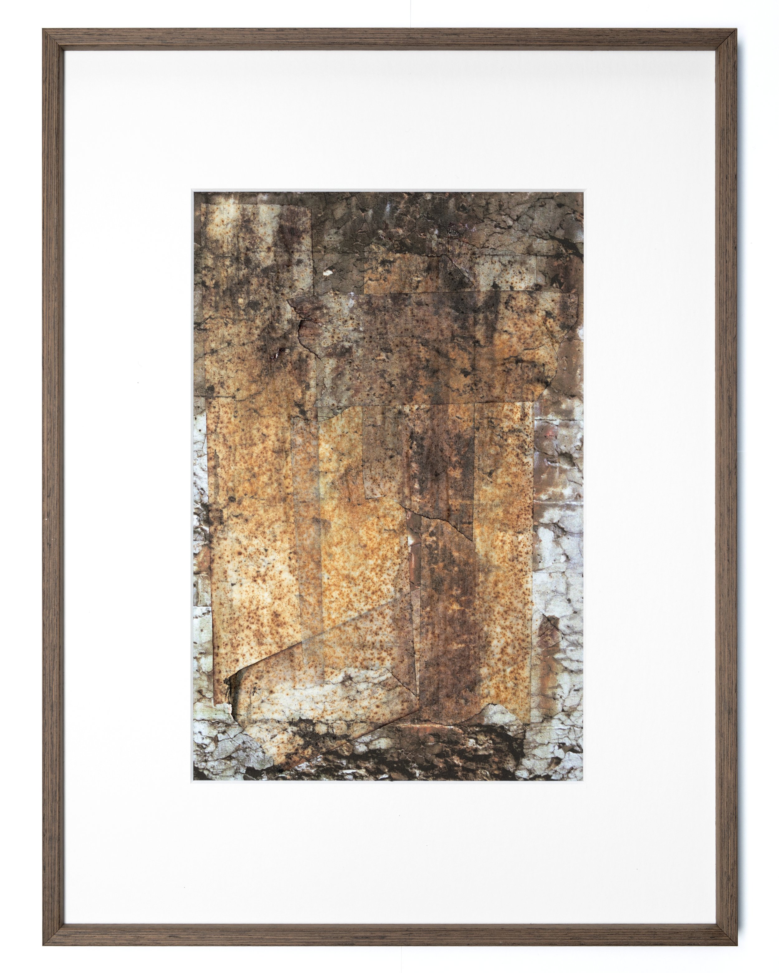 Layered, Decaying, Rusting, Captured II Entry Gallery