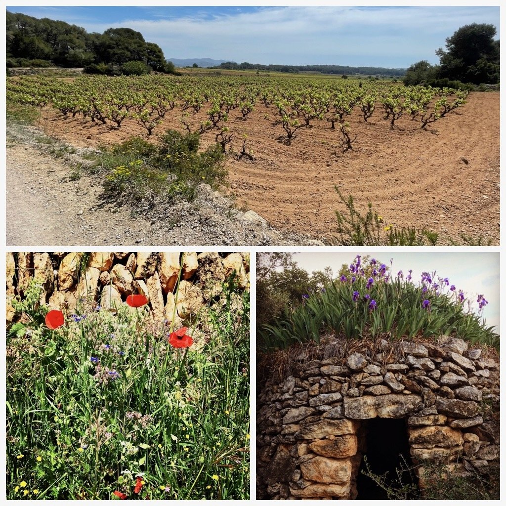 On wine, food and friends