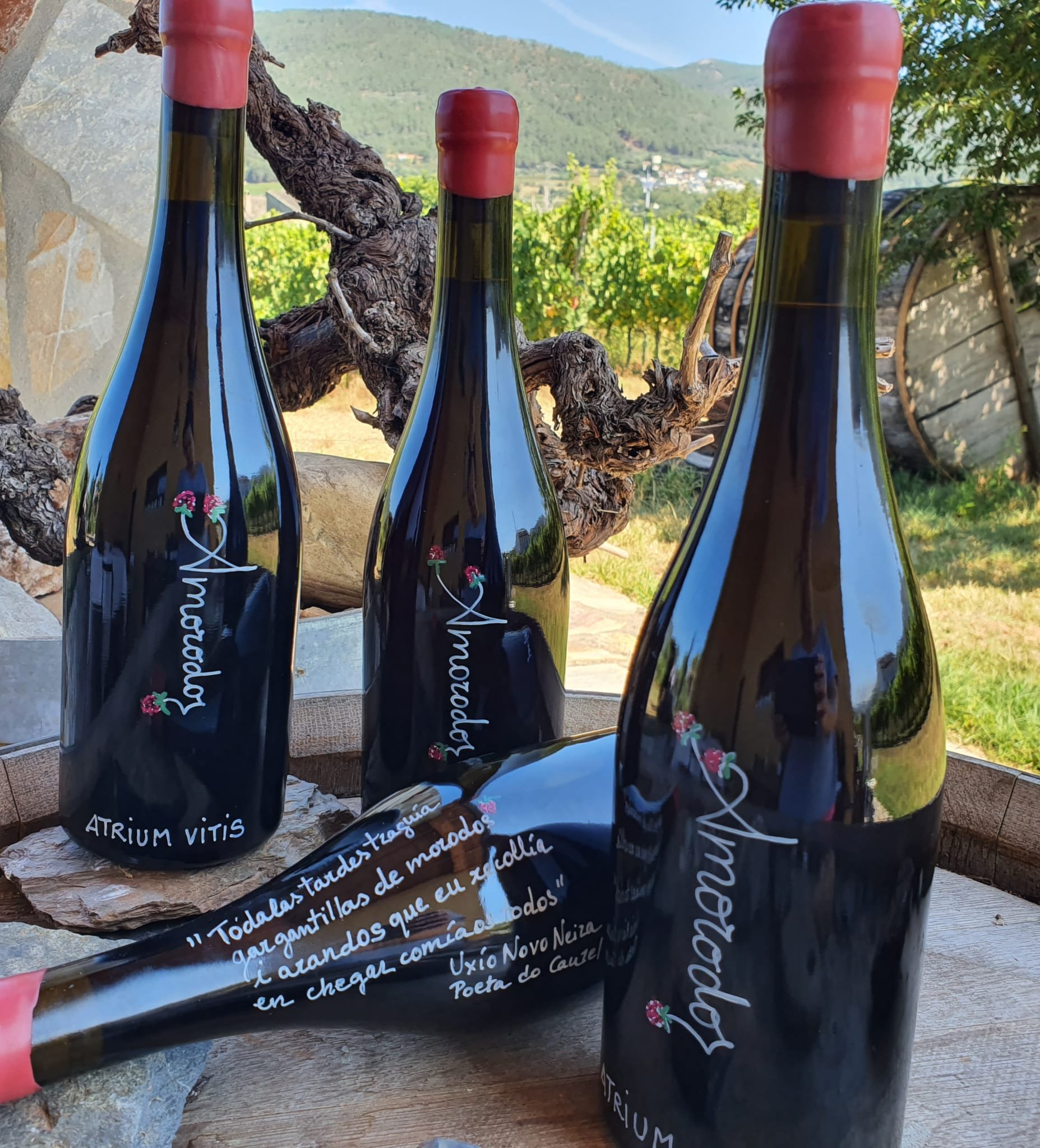 Wine of the week