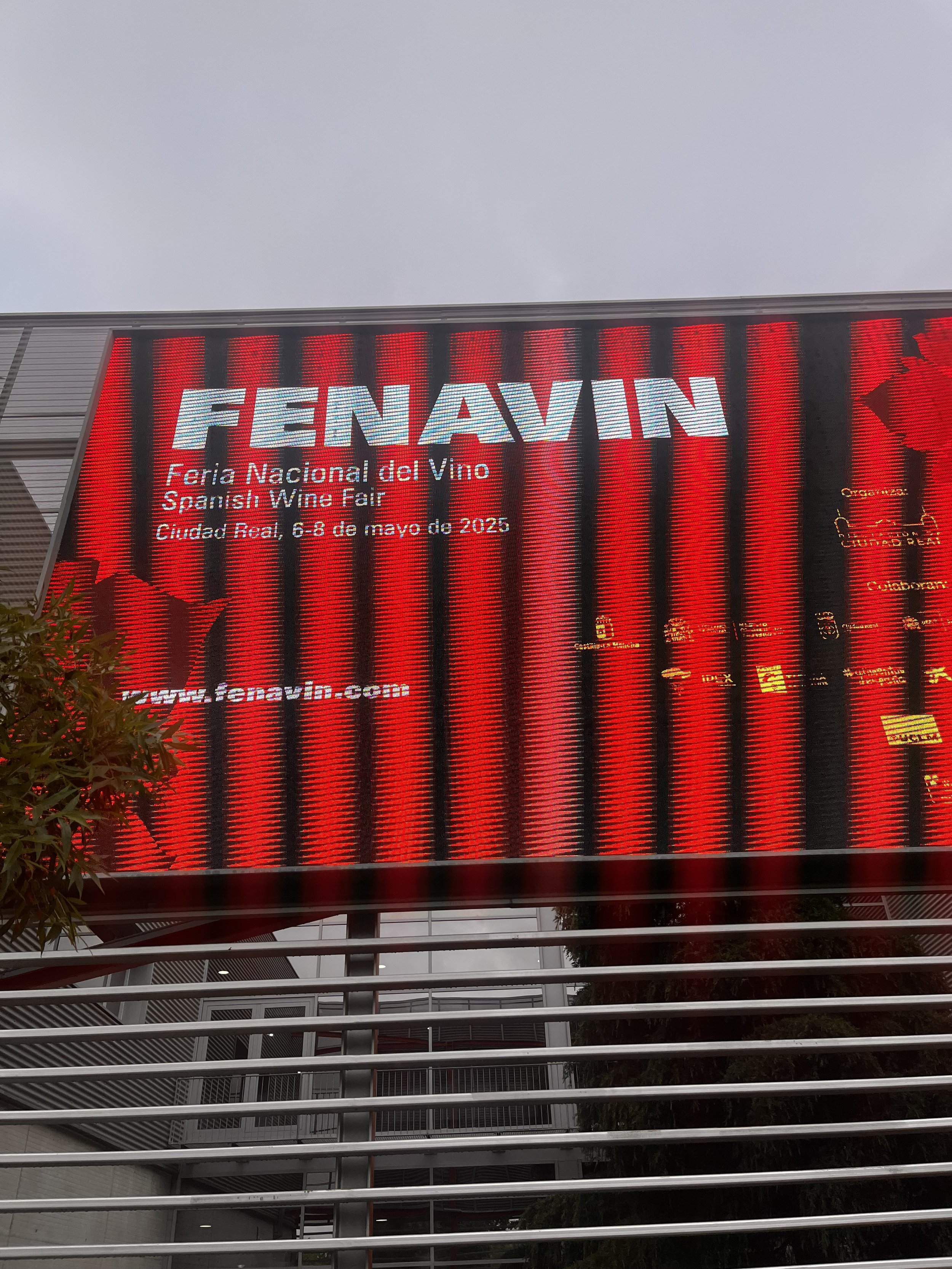 Los nuevos vinos manchegos: rebelión silenciosa en Fenavín 2025