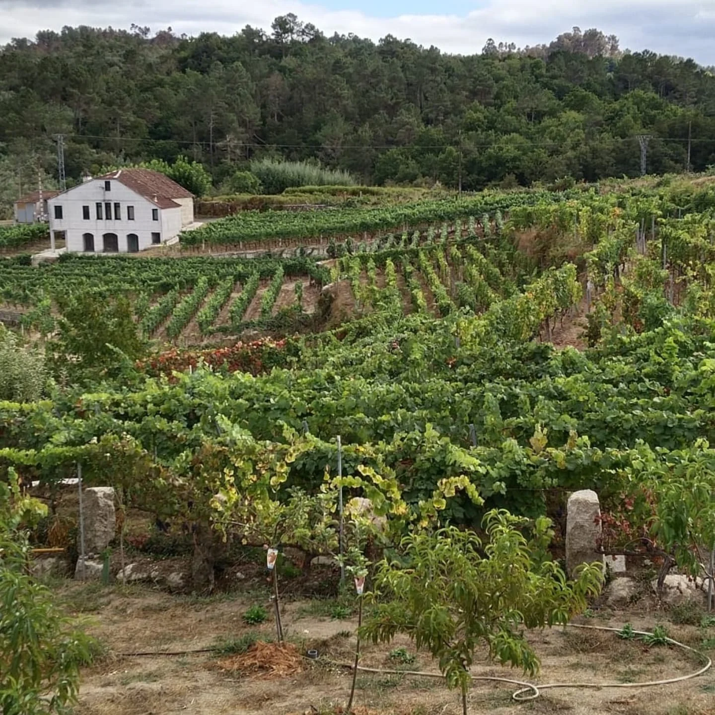O Caseiro: la vida entre bancales olvidados