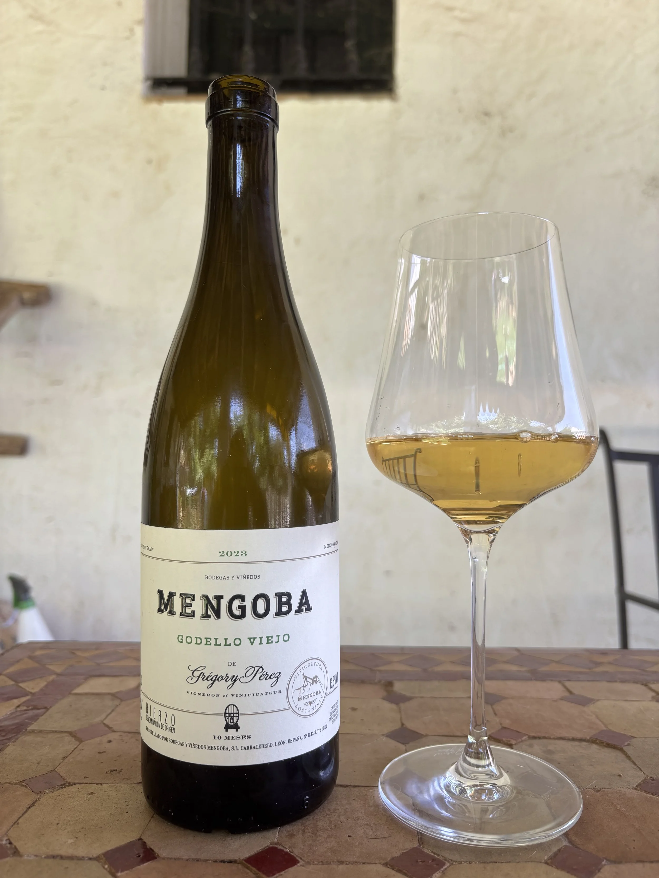 Godello Viejo 2023, Bodegas y Viñedos Mengoba